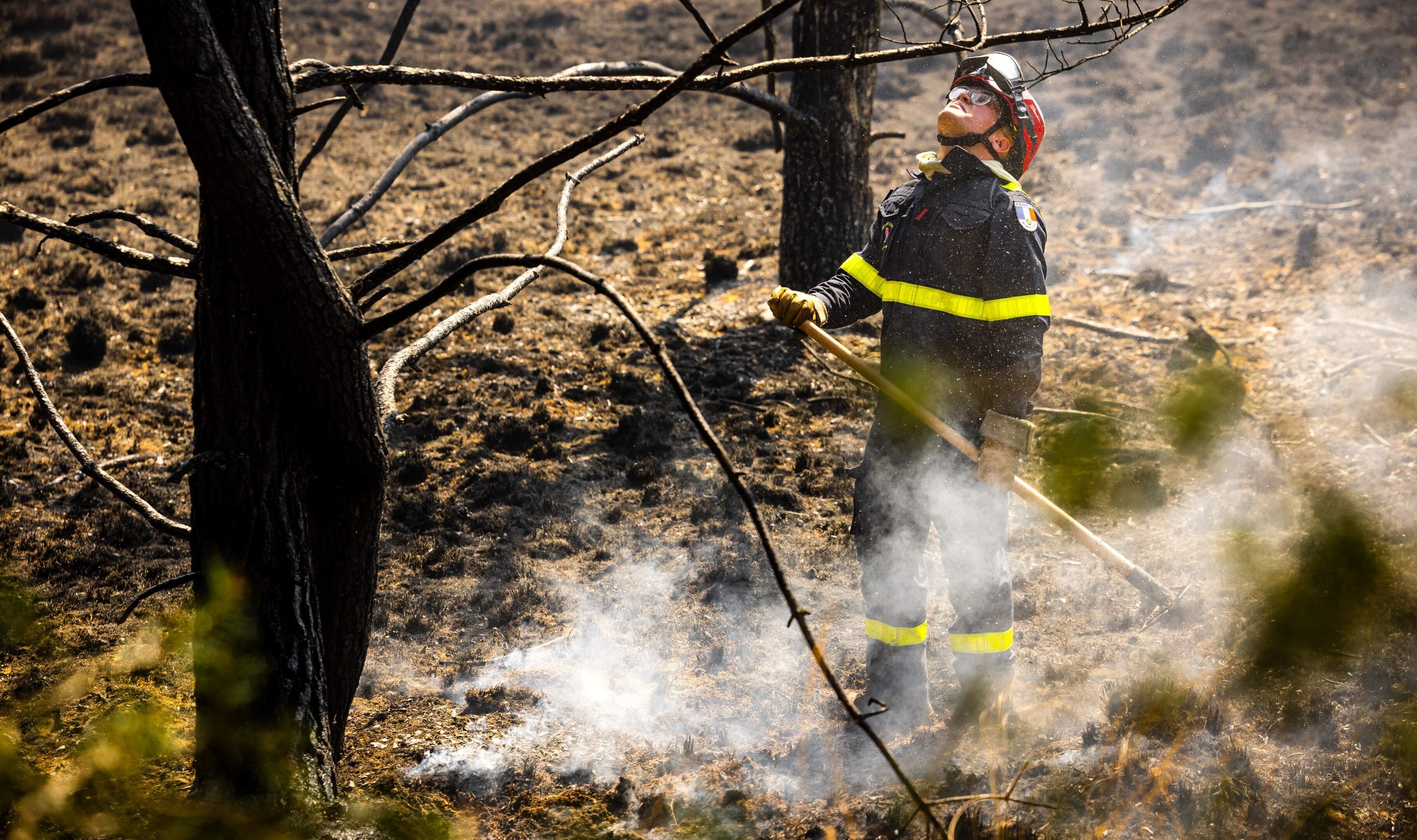 Wildfire risk in several regions adjusted after rainfall