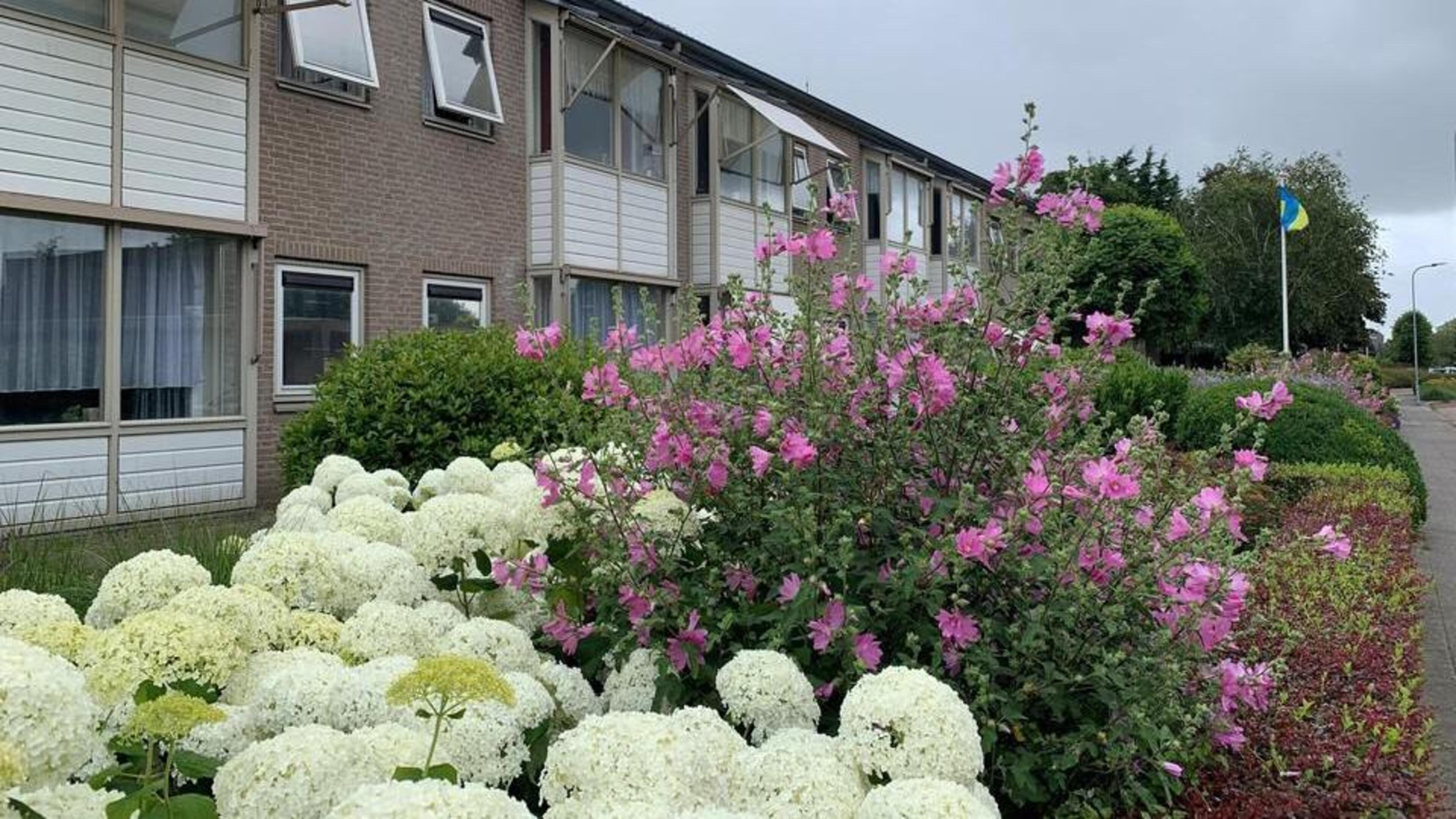 Wat nou kruimelgeval? Opperdoes boos over vlotte vergunning voor bestemming Almere