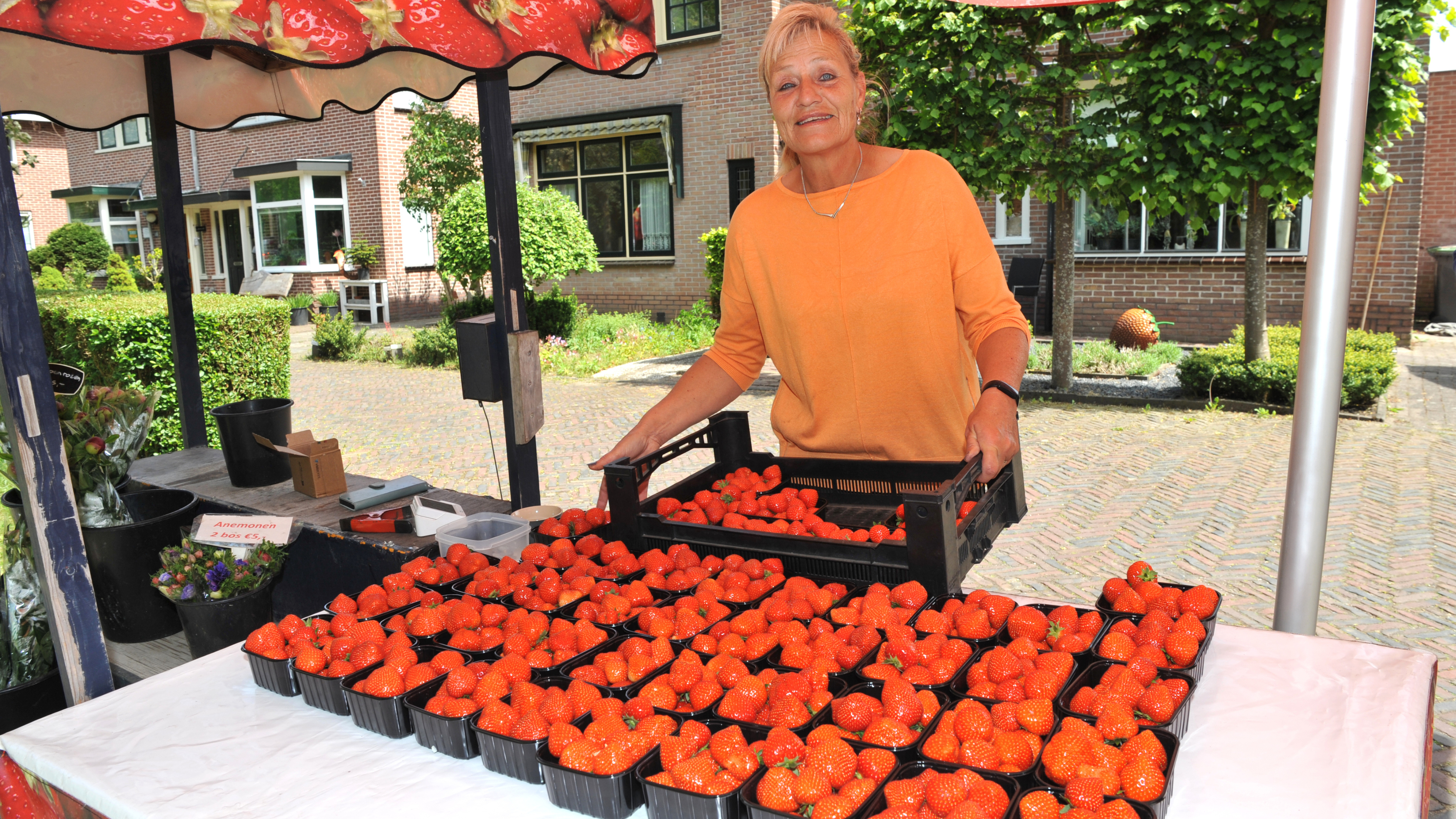 'In line for a strawberry.' What’s for sale at the roadside stalls from Castricum to Beverwijk?