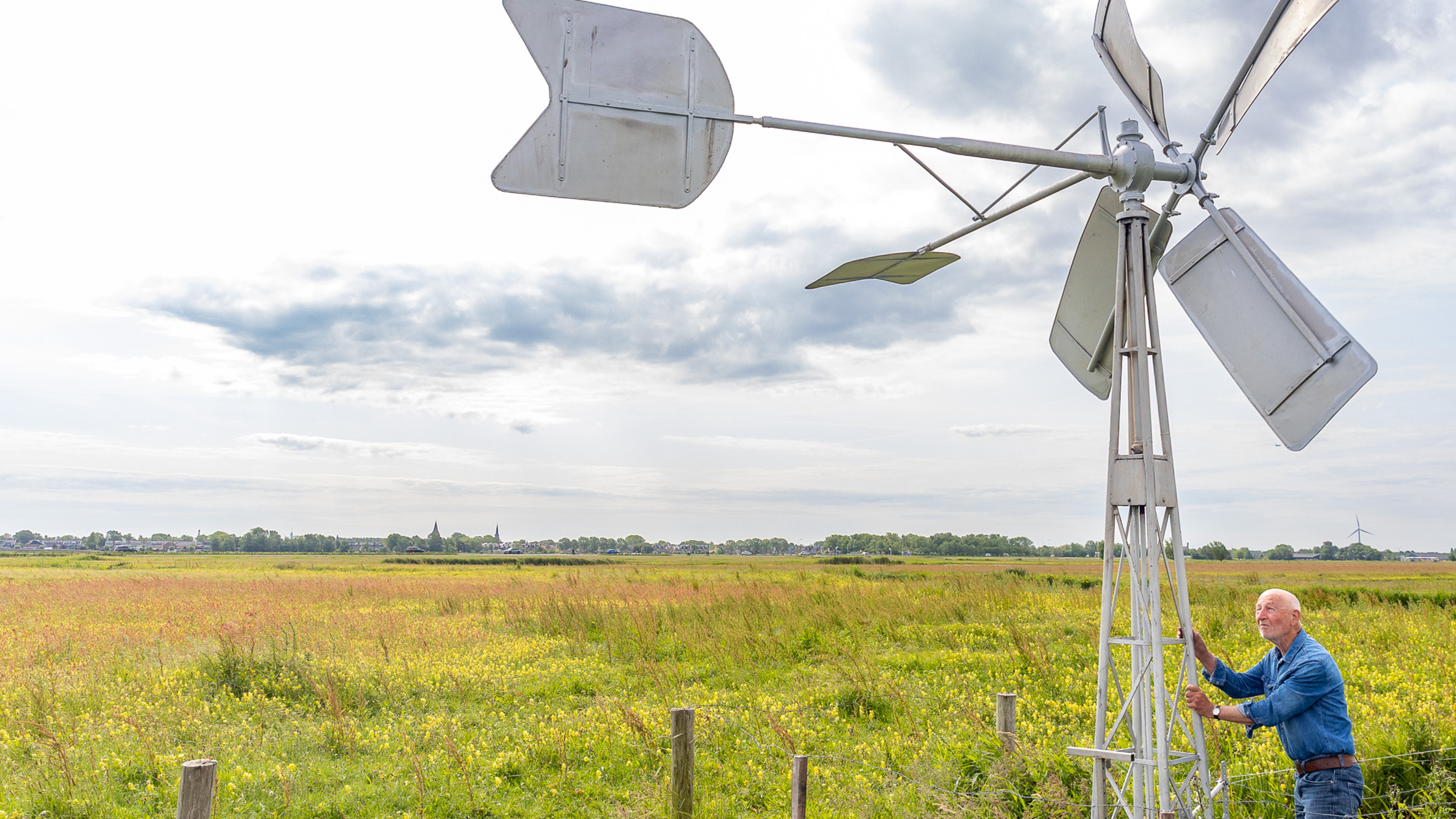 Weidevogels in Nederland hebben het zwaar door de droogte, maar in de Castricummerpolder hebben ze h