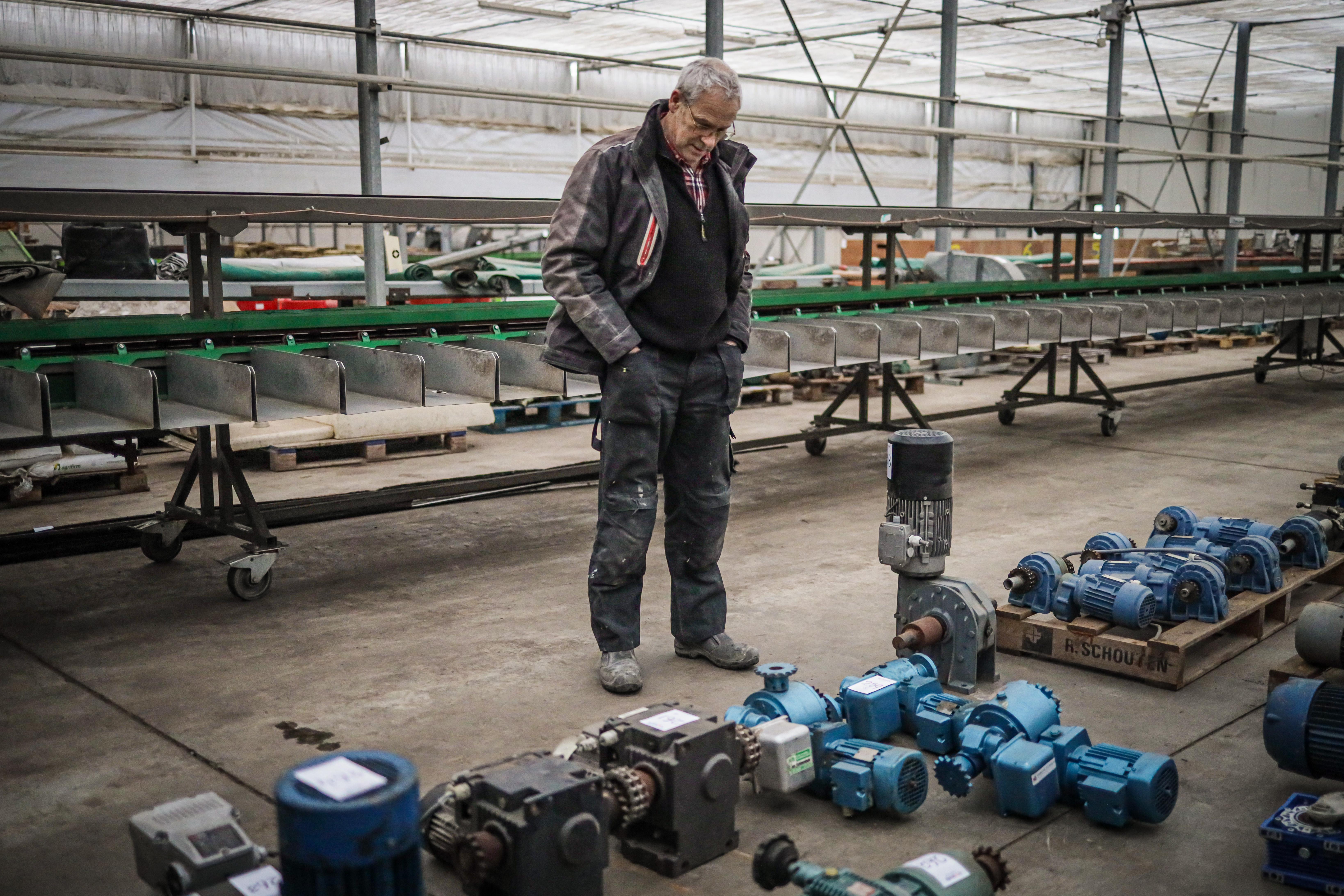 Tulpenkweker Wireco in Ursem stopt. ’Een optelsom van omstandigheden’, zegt eigenaar Wim Steur, bij 