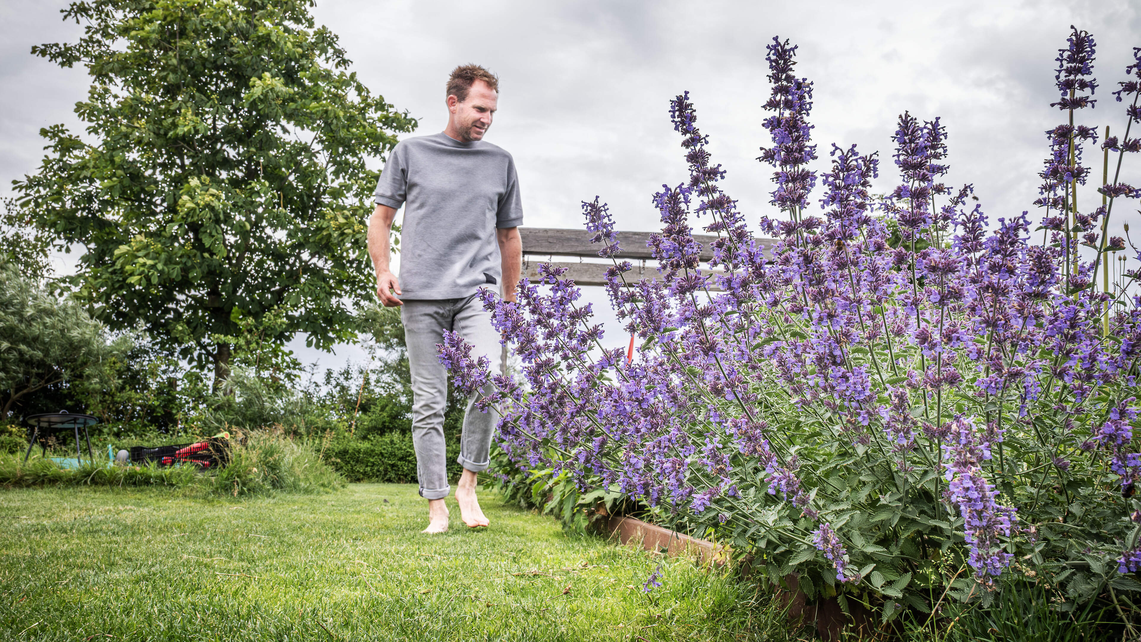 Scorching hot patio tiles? Solution: less stone and more greenery. ‘Plants provide shade and cooling’
