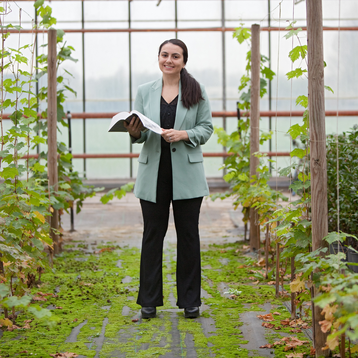 Ani Zalinyan gaat zo goed als zeker de Tweede Kamer in.