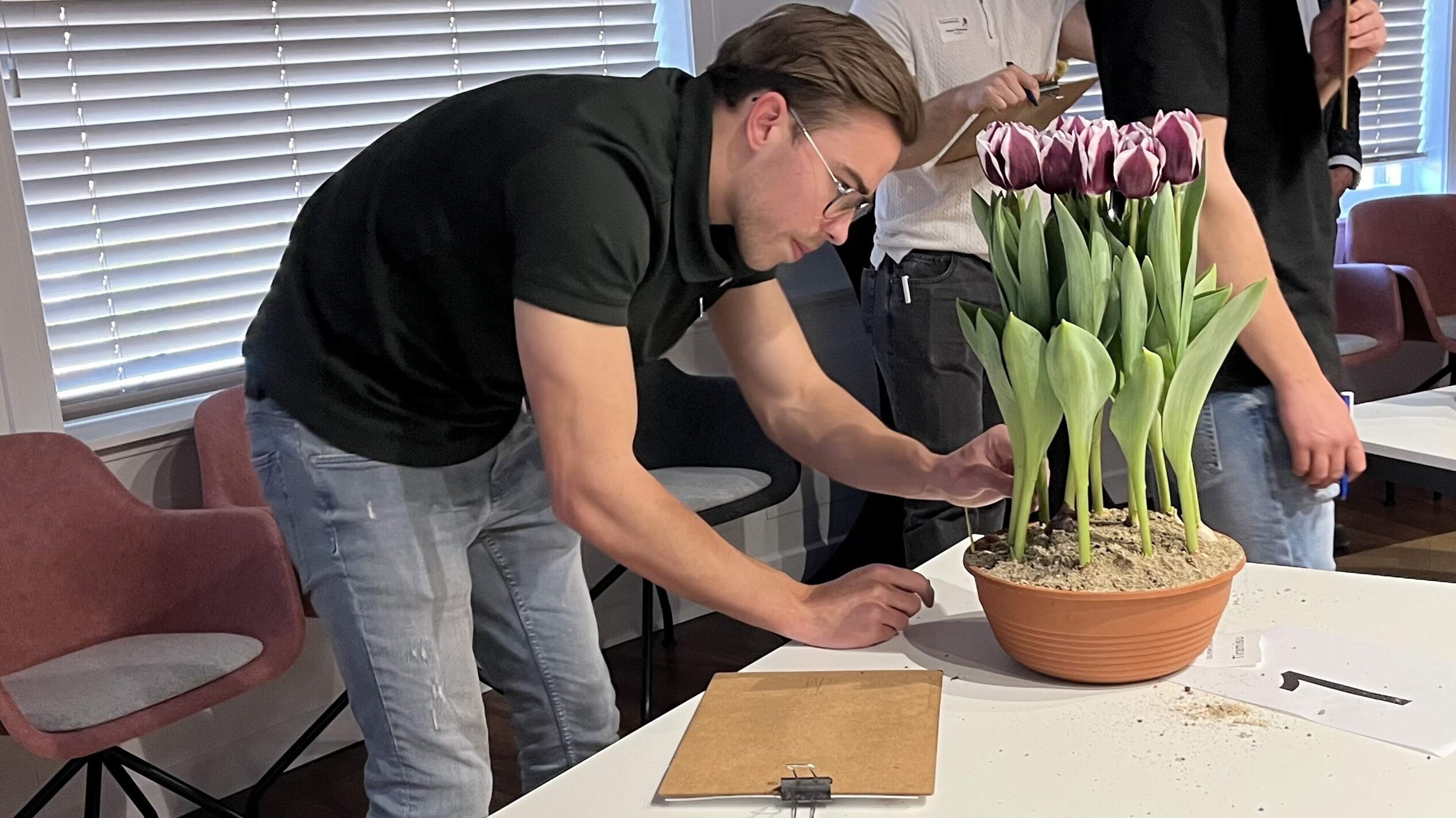 ’Wervershoof’ opnieuw grote winnaar NK Tulpenkeuren