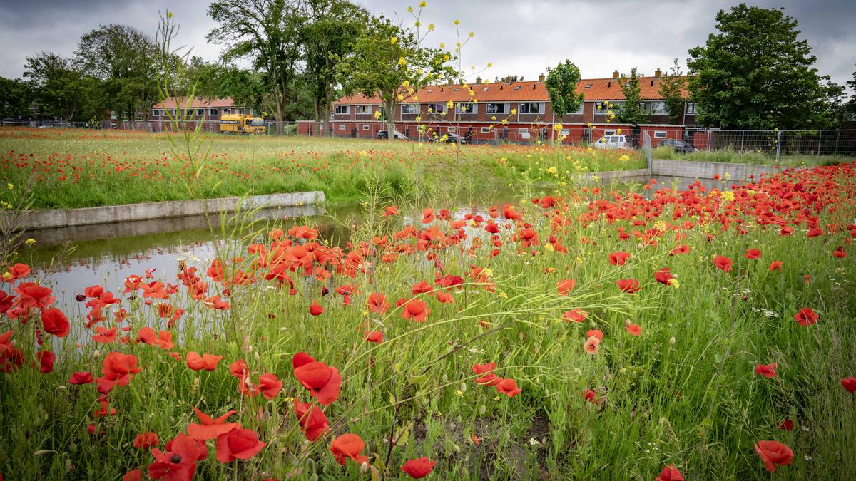 Aan de Vechtstraat in Den Helder begint de bouw van twaalf huurwoningen