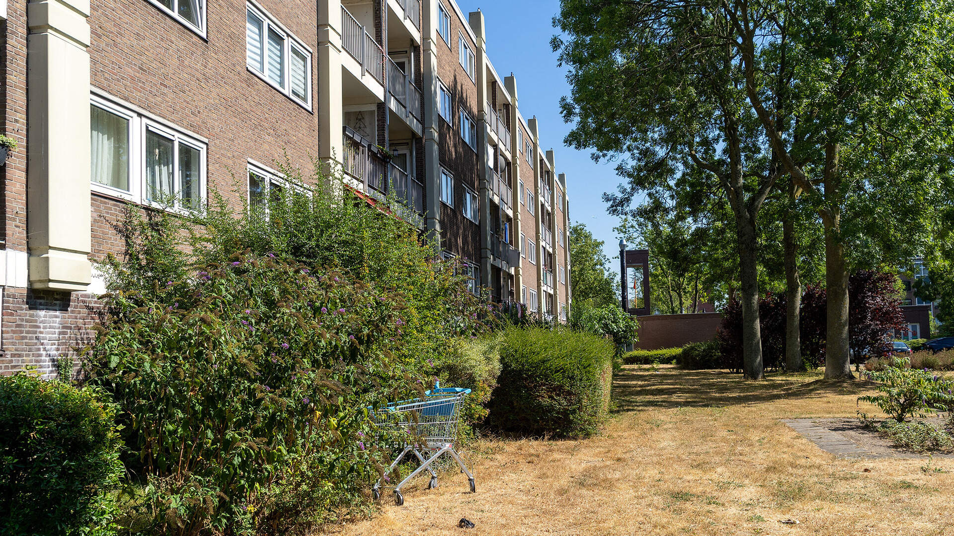 GGD Kennemerland: ’renovatie of sloop’ naoorlogse flats ’mogelijk ...