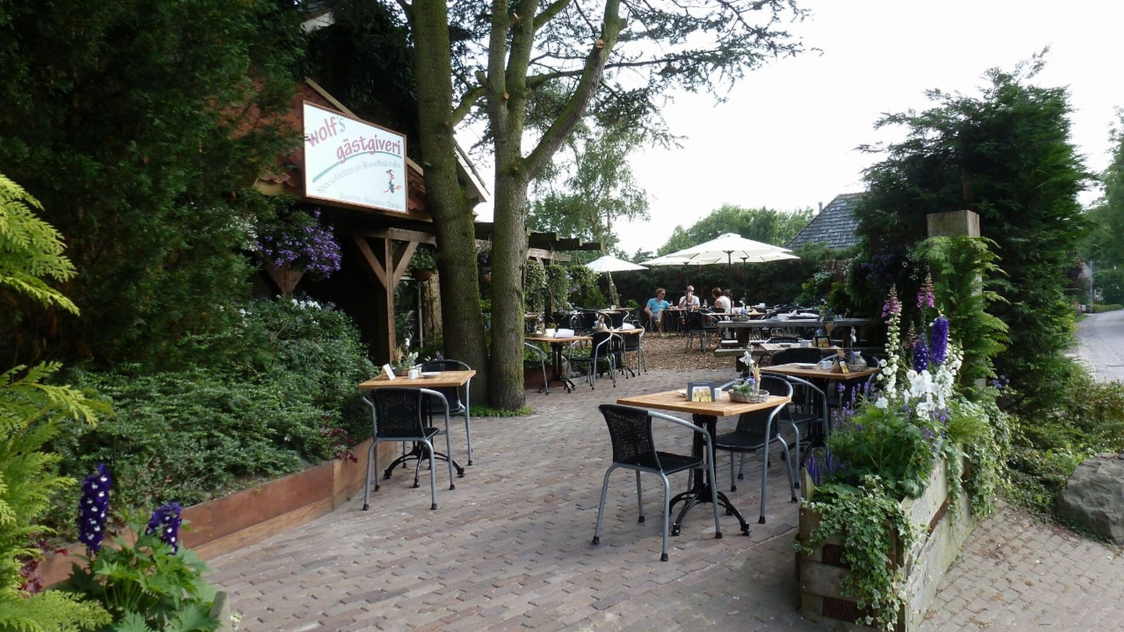 Zonnige theetuin in Hauwert kansloos