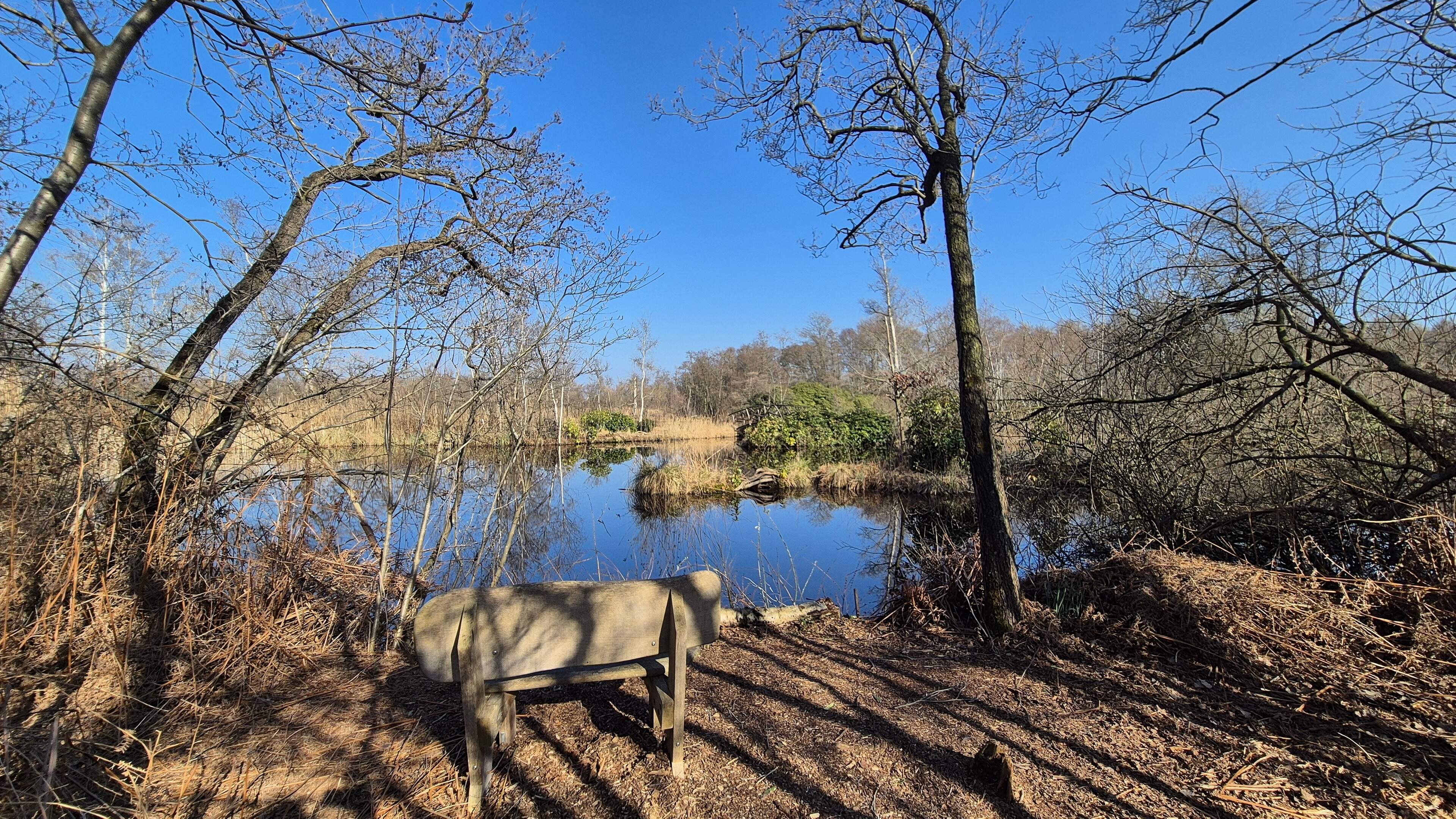 Children explore nature at Lusthof De Haeck: Trudge through the swamp in your boots