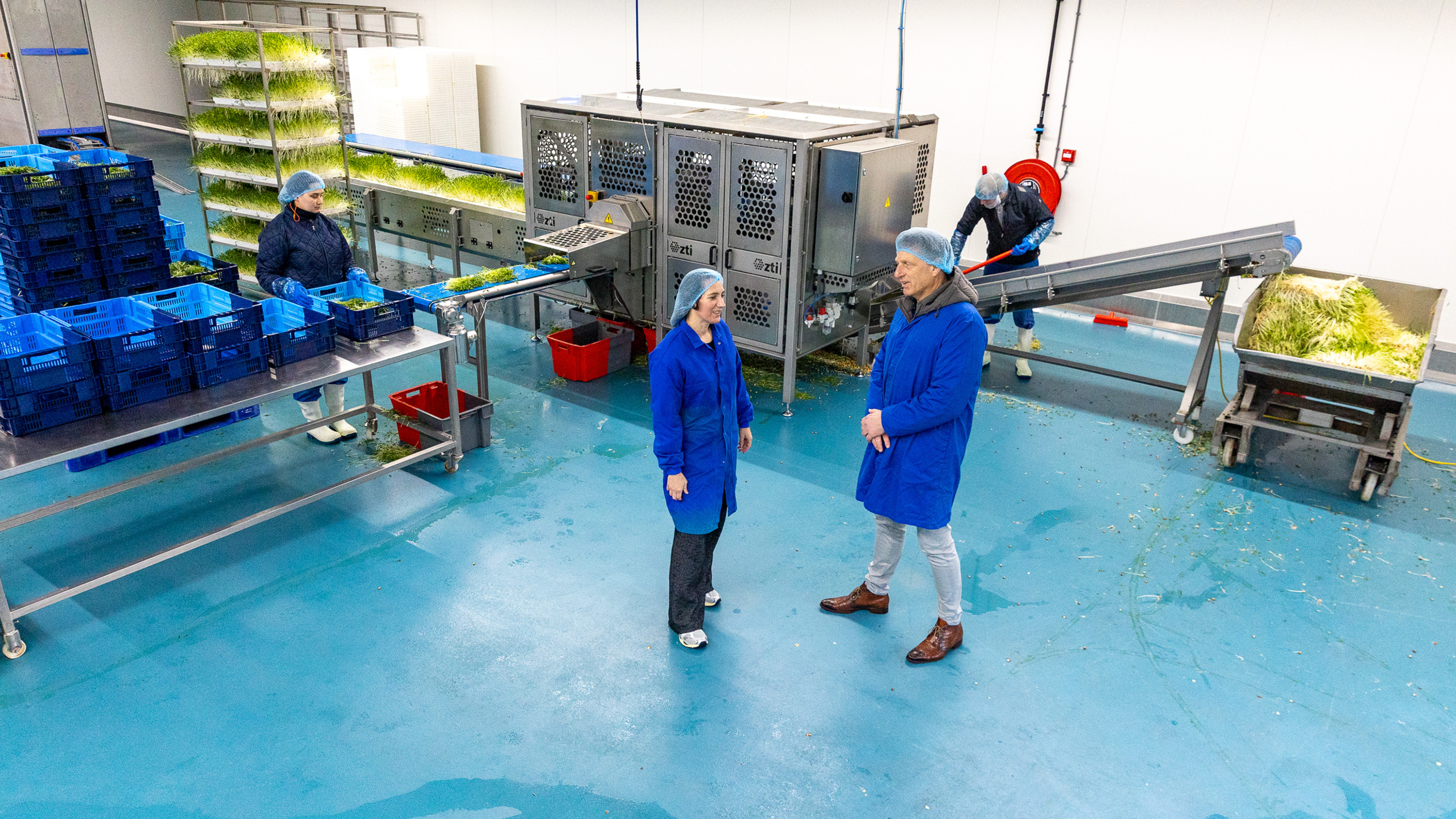 Van der Plas Sprouts wil verder groeien en automatiseren. ’Kiemgroenten zijn gezond, lekker en helem