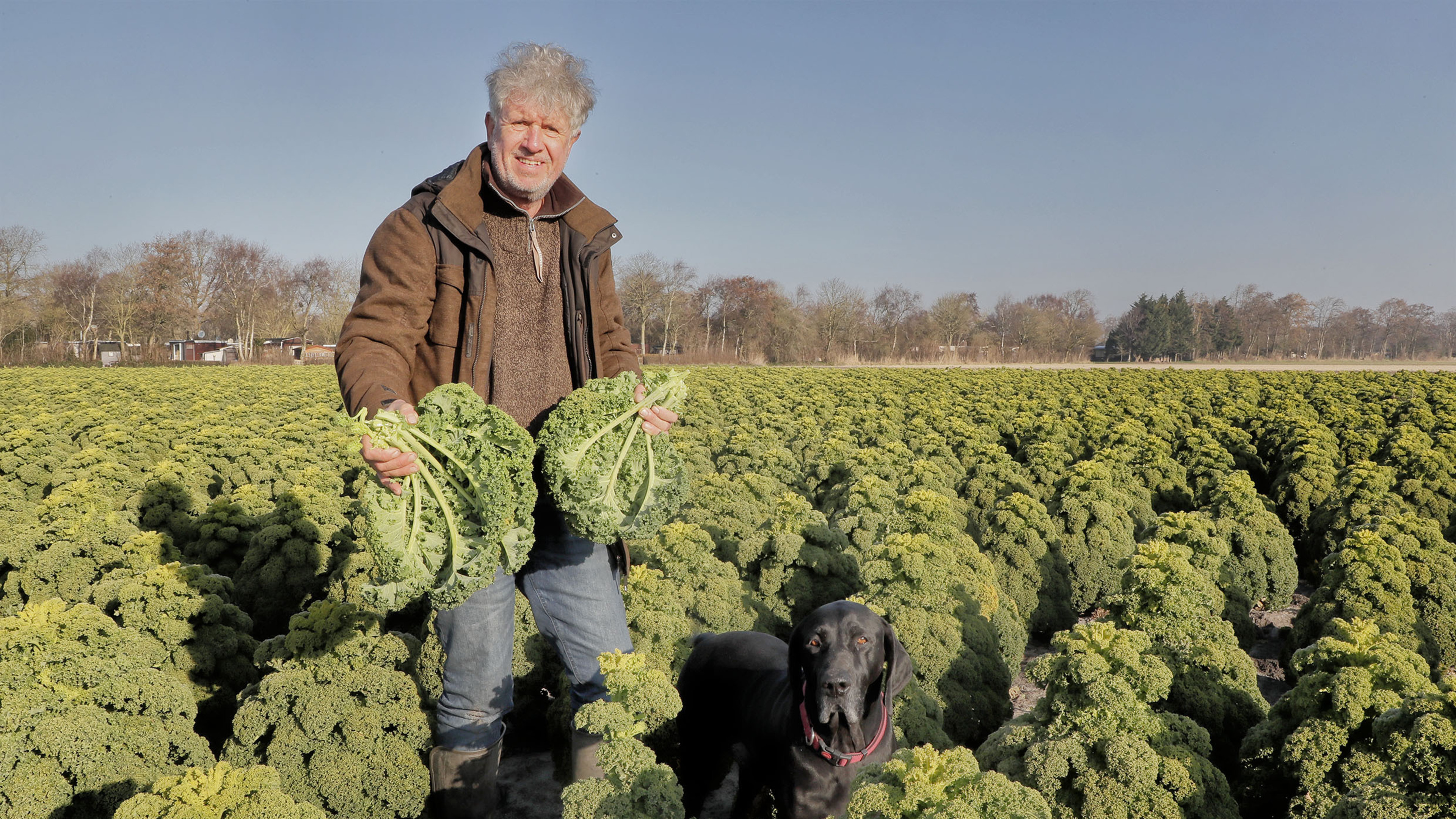 Familie Kooij uit de brand geholpen door landelijke hulpactie: grootste deel boerenkooloogst van ond