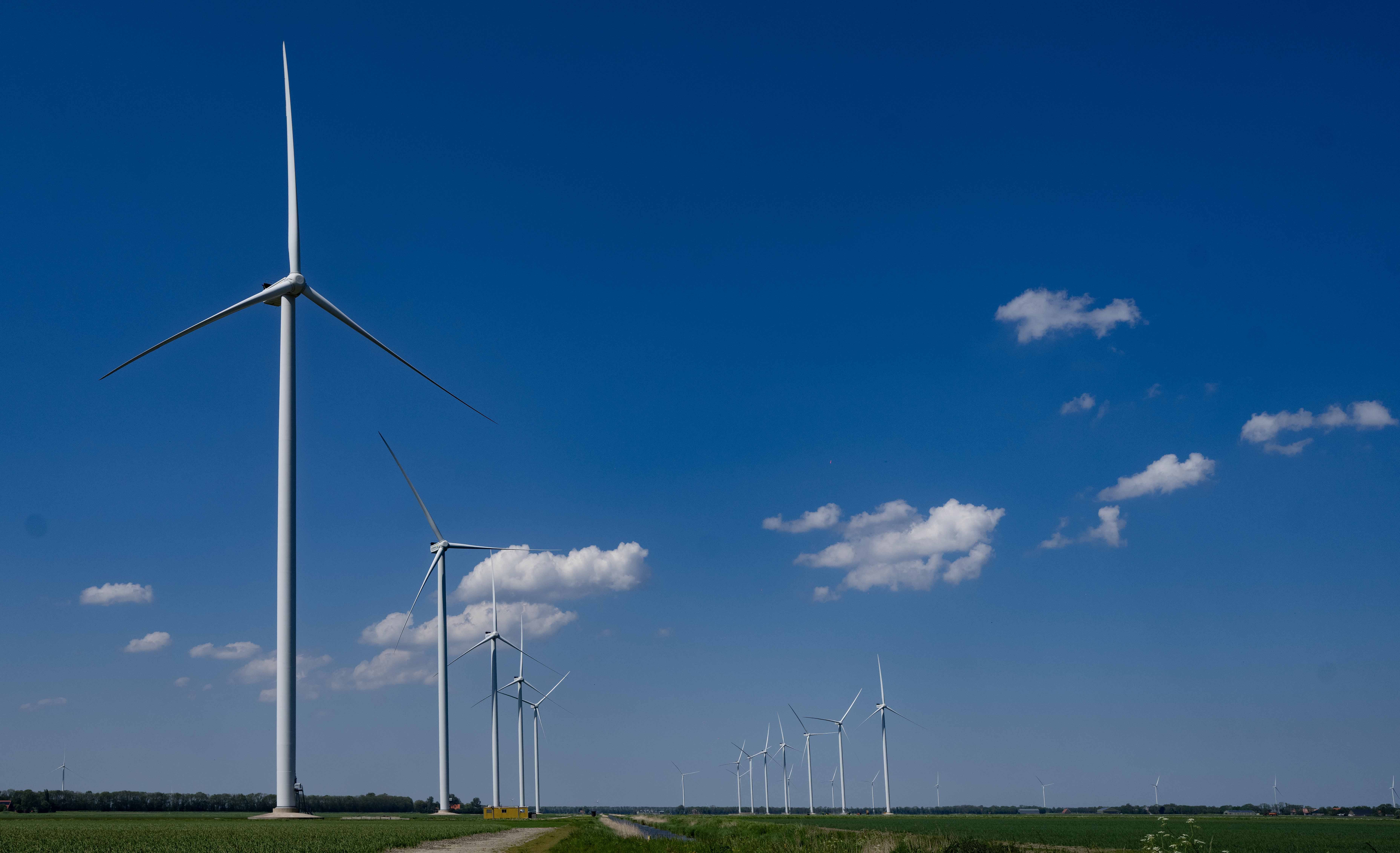 Windcollectief Wieringermeer ziet cynische concurrent opdoemen. ’Eigen Belang Wieringermeer’ komt me