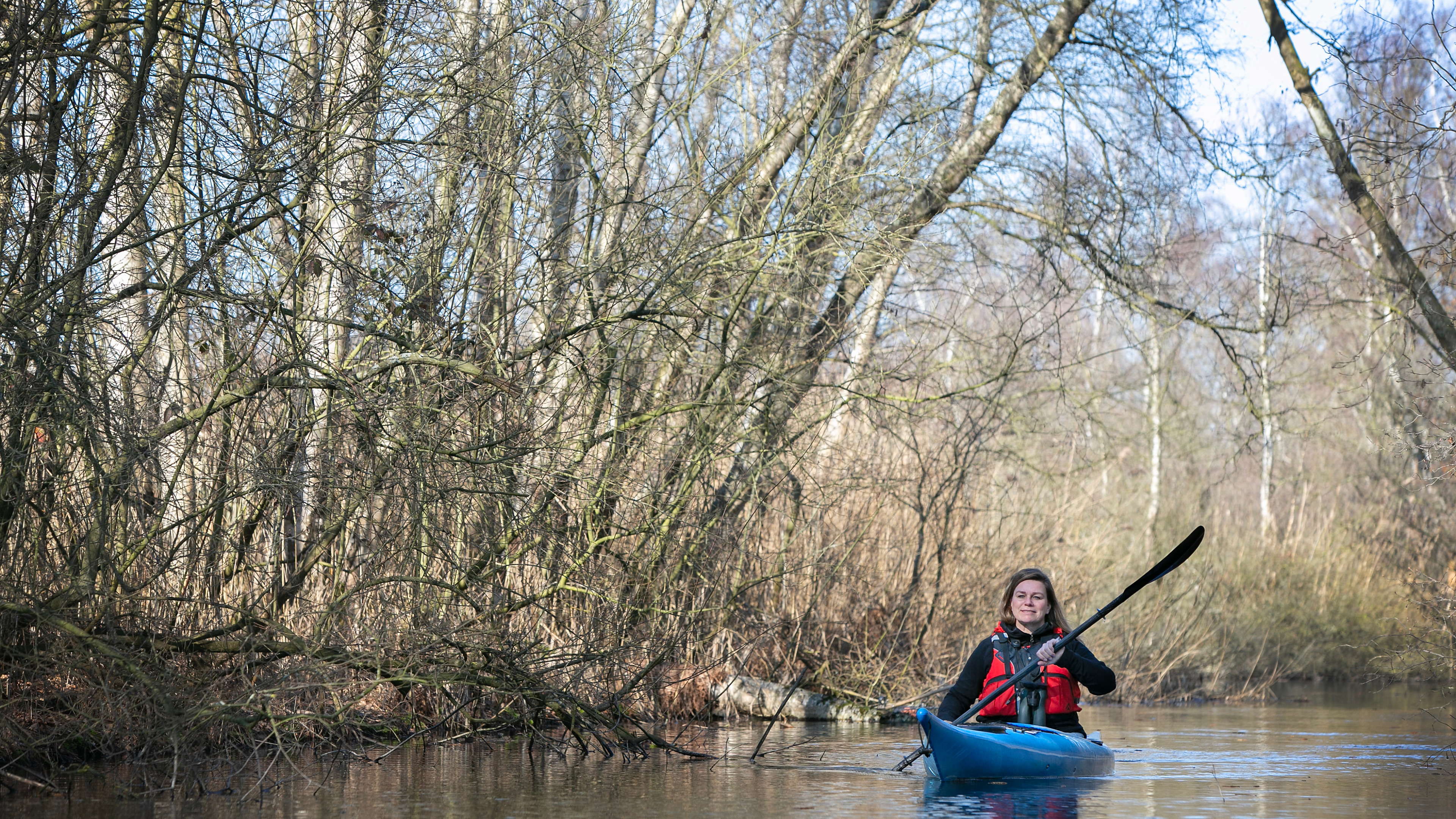 Experiencing spring from a kayak: ‘Because you are so close to the water, you are fully immersed in your surroundings’