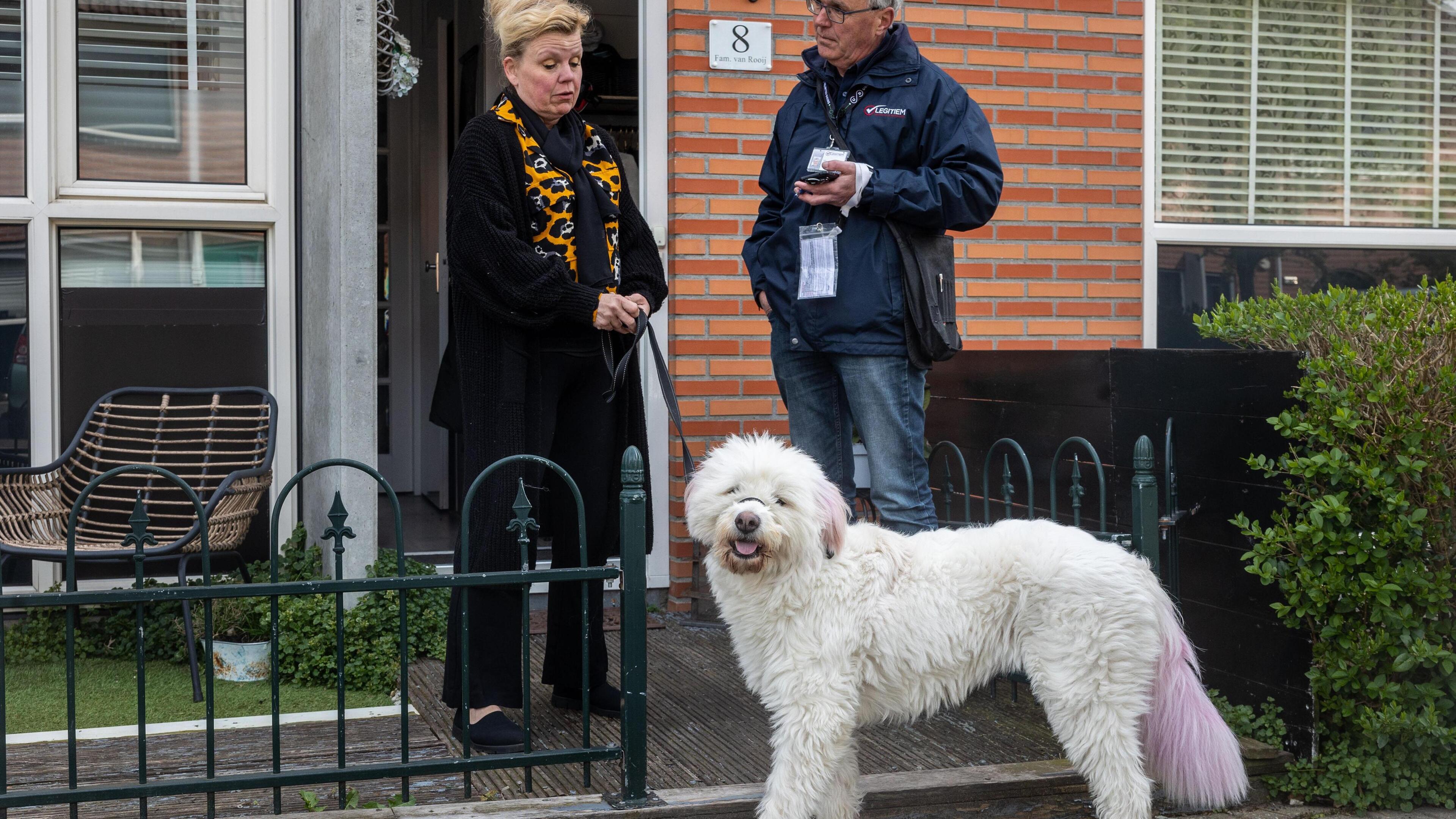 Co (67) controleert op hondenbezit en gaat huis aan huis door Purmerend: ’Vuile NSB’er, jij verraadt