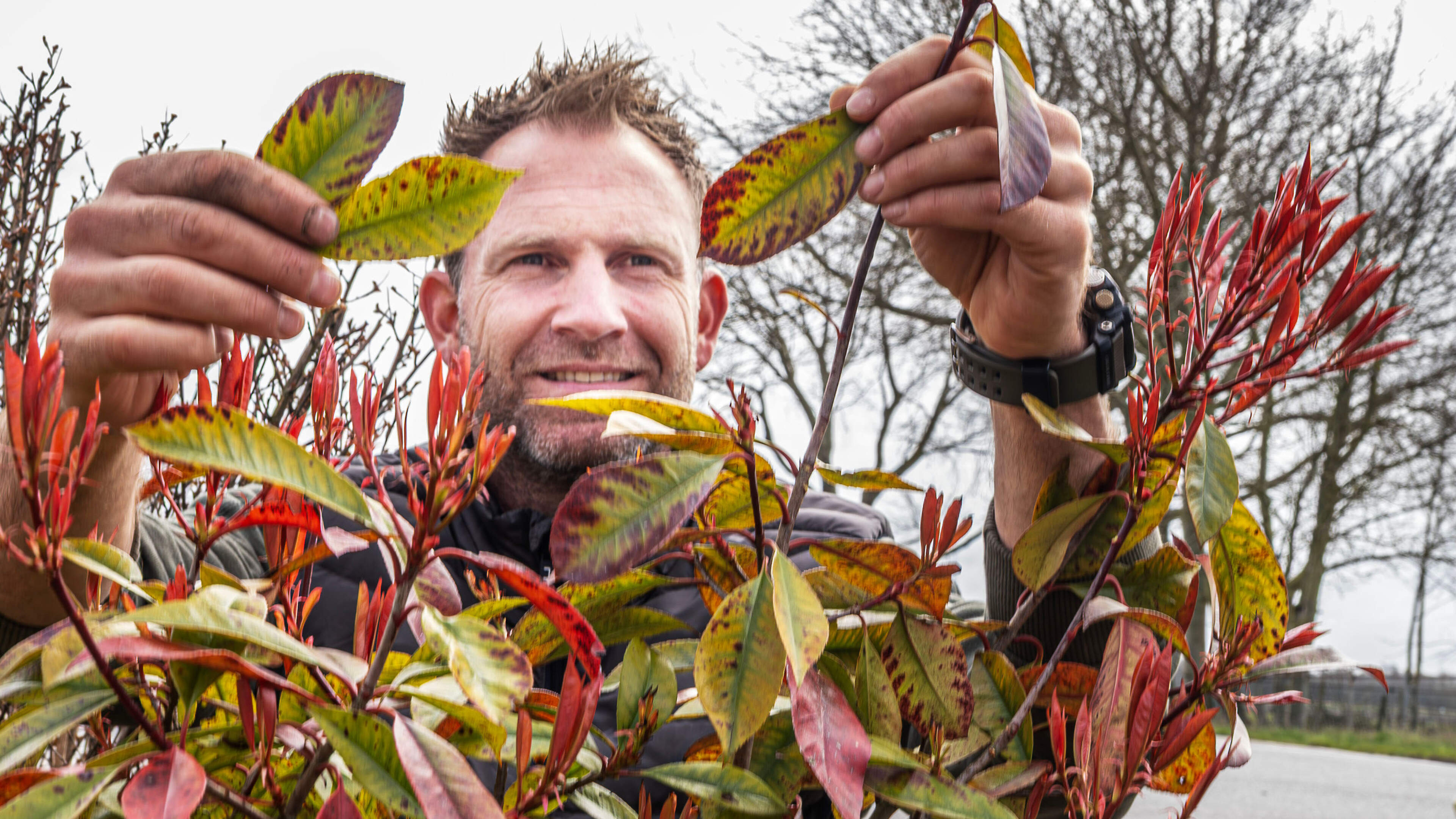 My plant has a fungus, what now? Farmer Tom: ‘Don’t throw the leaves on the compost heap’