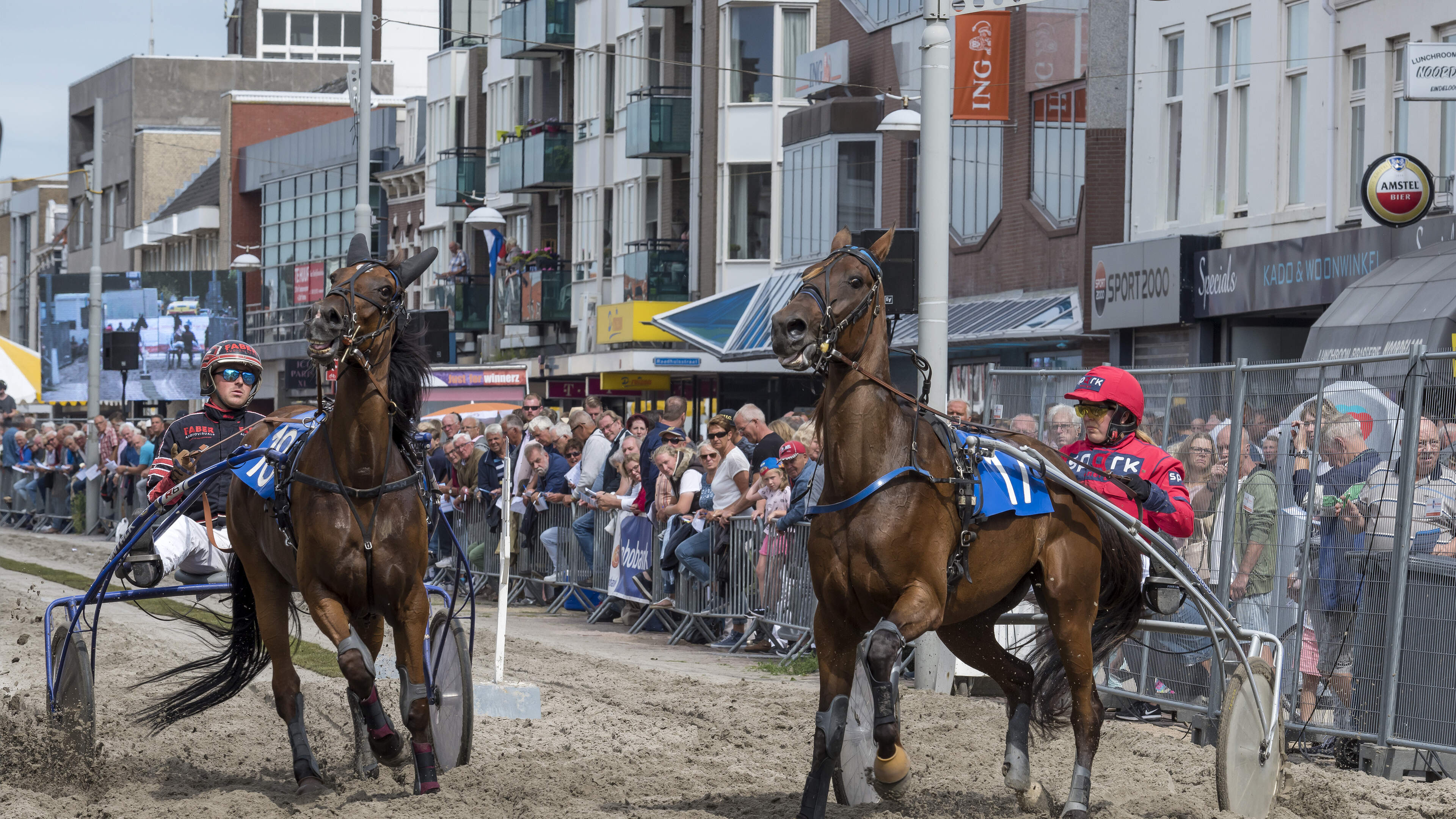 Beverwijk harness race cancelled due to heat: 'Dramatic but responsible decision'
