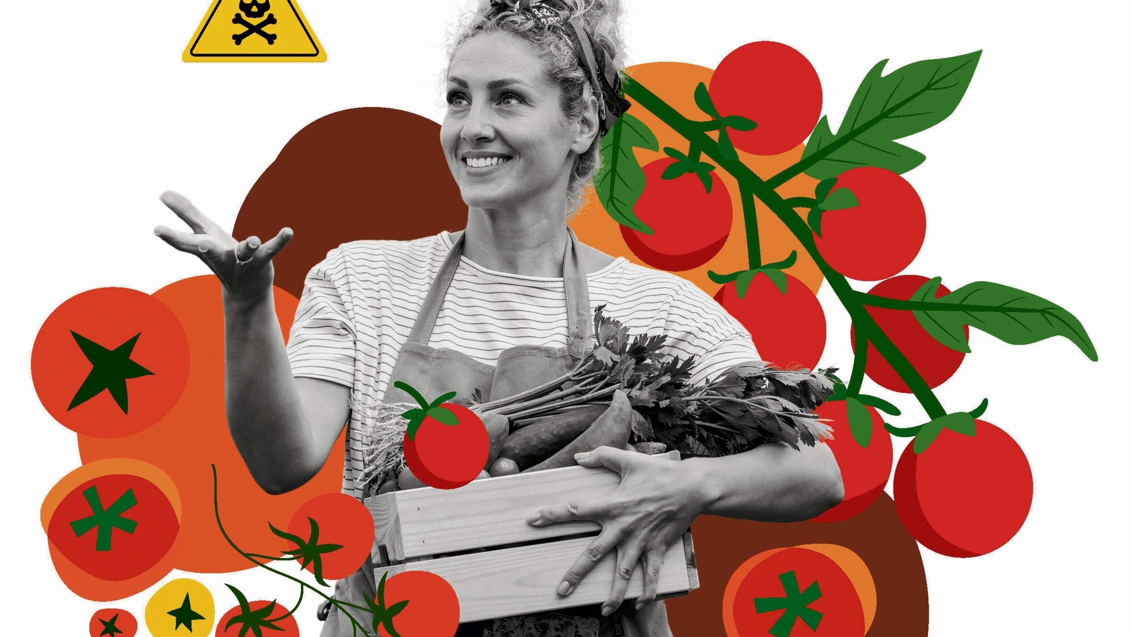 What are affordable pesticide-free alternatives to snack vegetables?