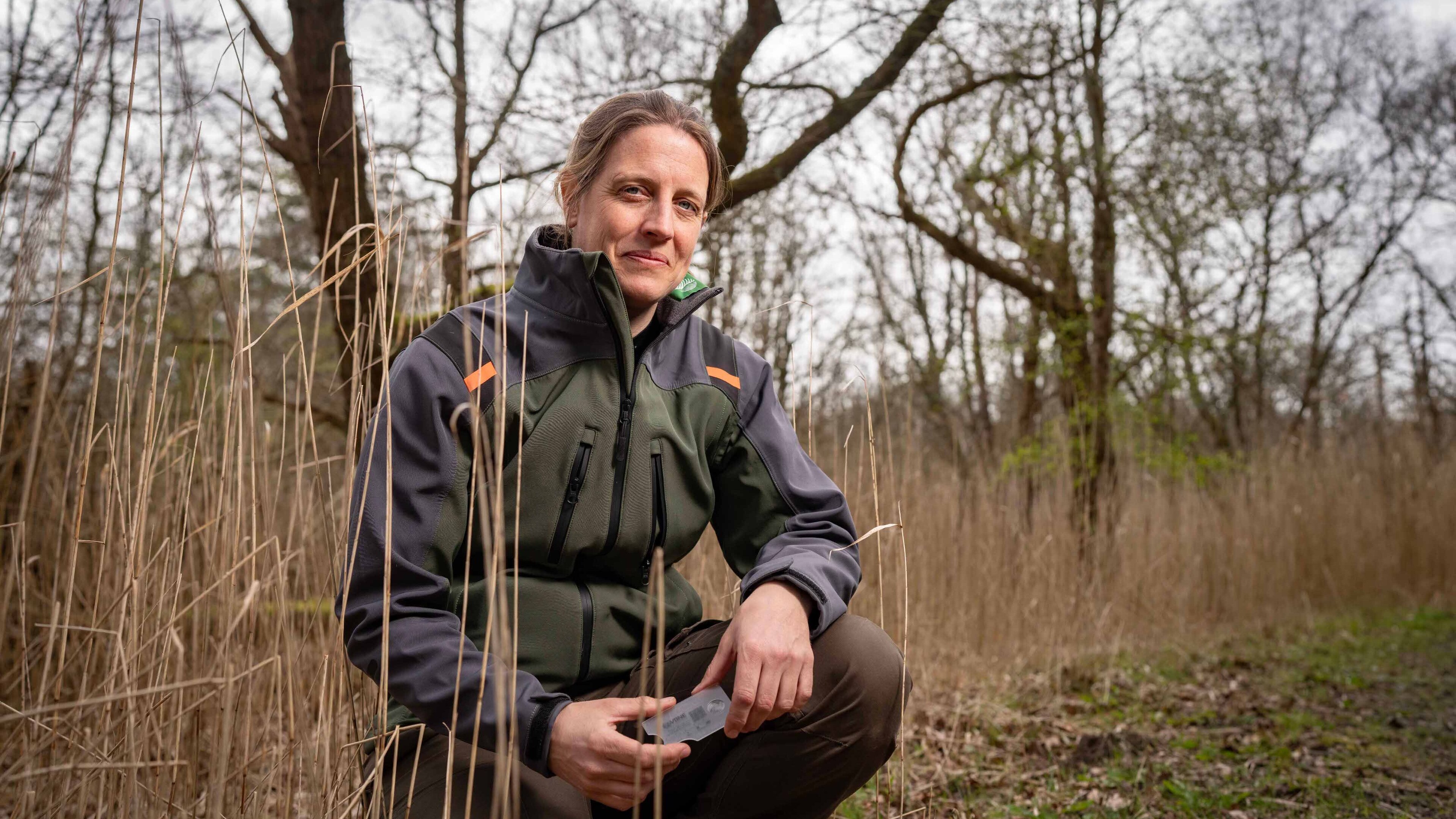 A tour of ‘the tick forest’: ‘You always have to be careful, I know the risks better than anyone’