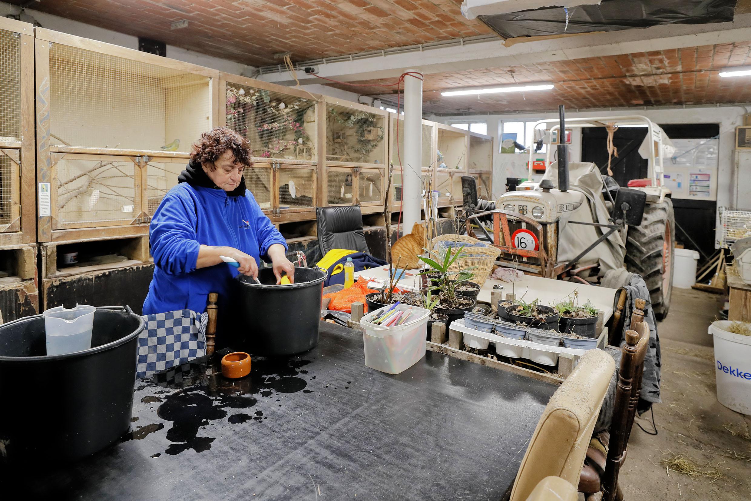 ’Er is niets zo erg als thuis zitten.’ Zorgboerderij Paarlberg in Dirkshorn biedt deelnemers met vij