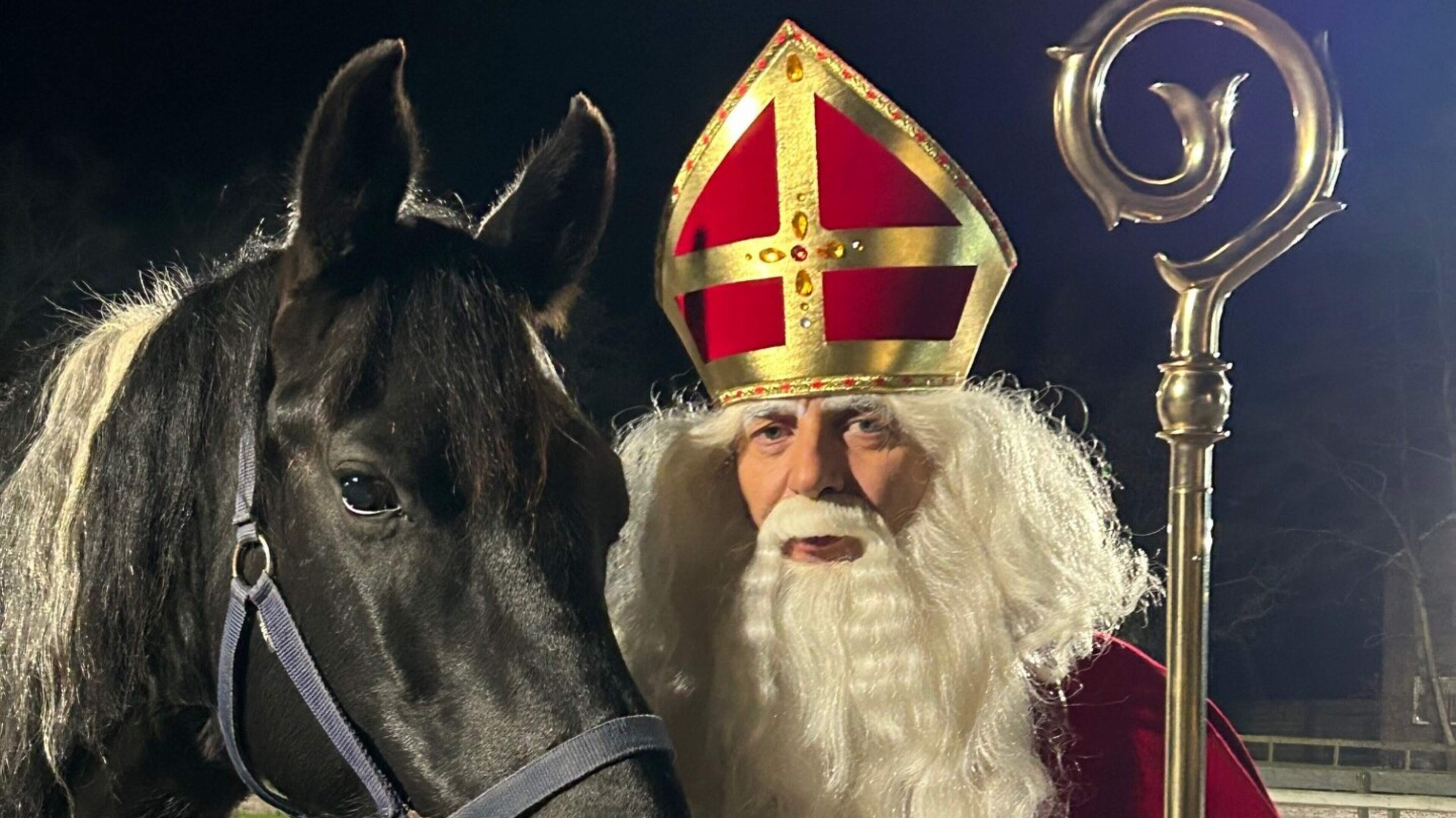 Een nieuw paard voor Sinterklaas