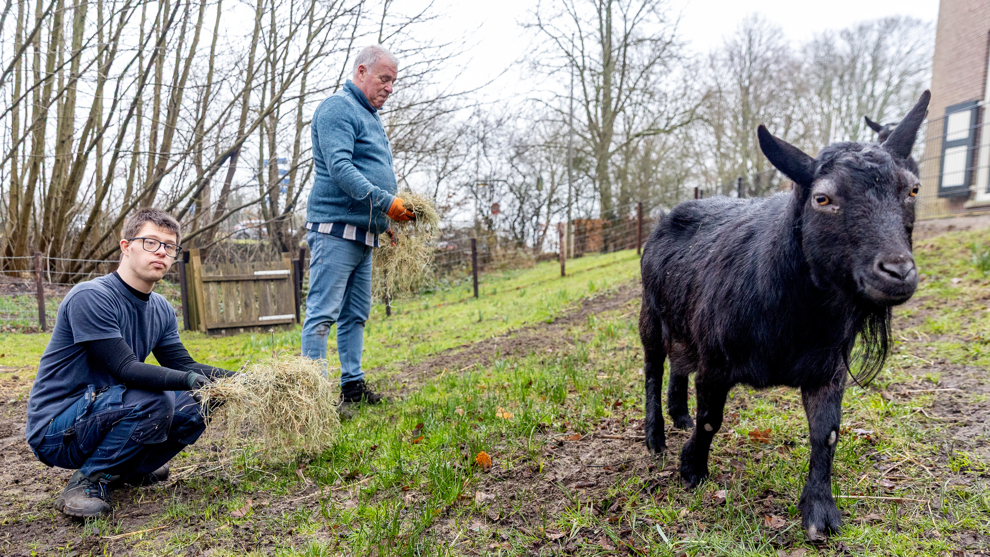 Who are the Greenmakers? Trio Cock, Gerard and Michiel lovingly care for animals and flowers in Castricum