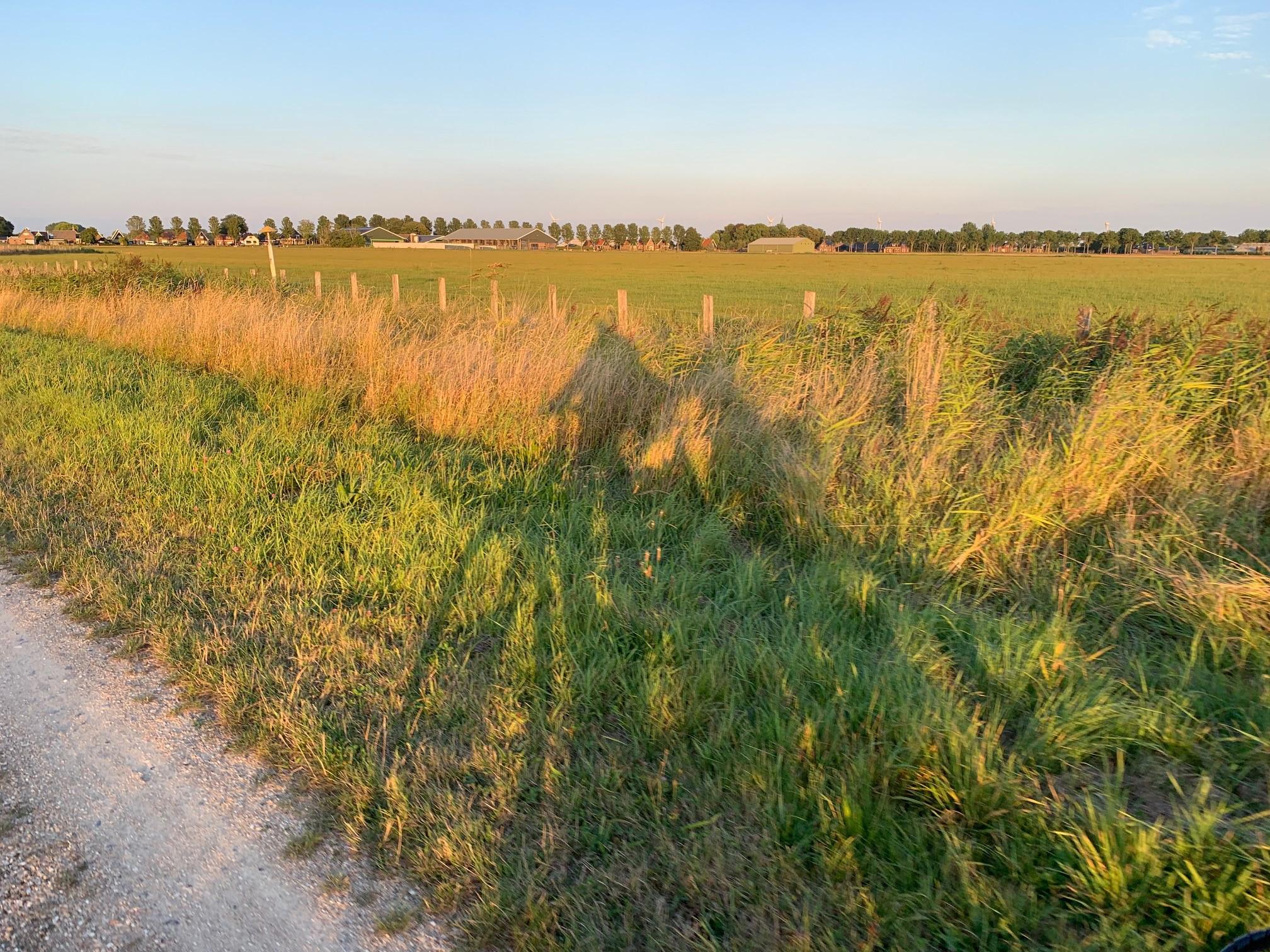 Dit is de weidsheid van het Blôte Bienepad: groots genieten | column