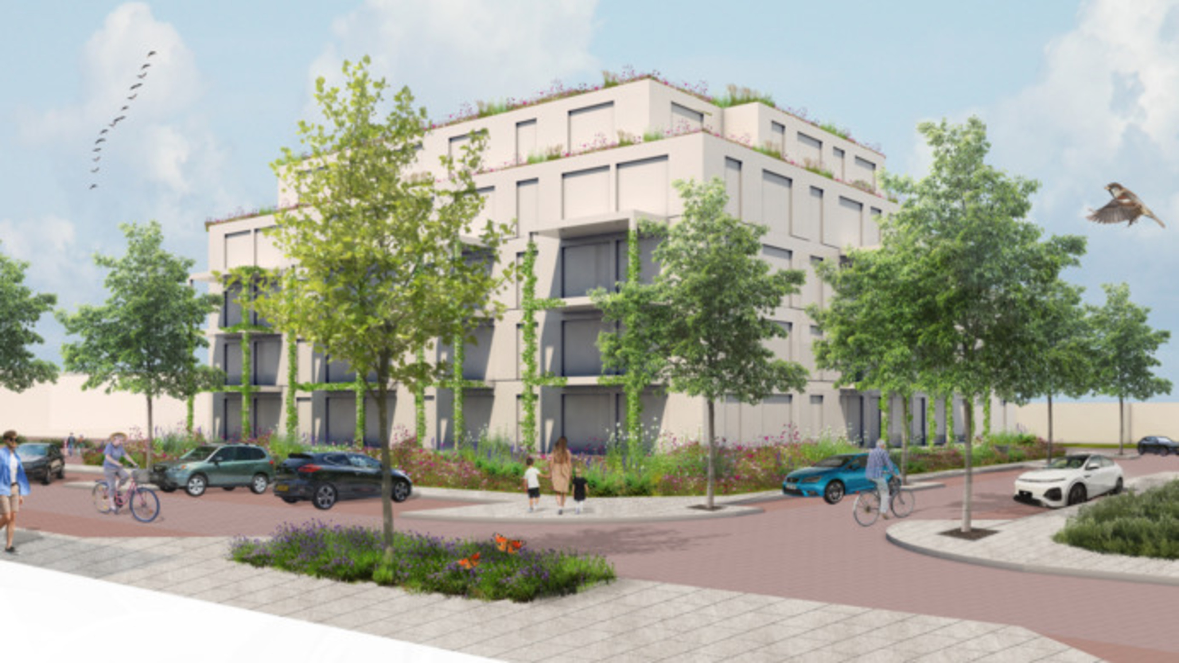 Council approves Kooiplein building plans: residents head to Supreme Court. 'We’ve been fooled'