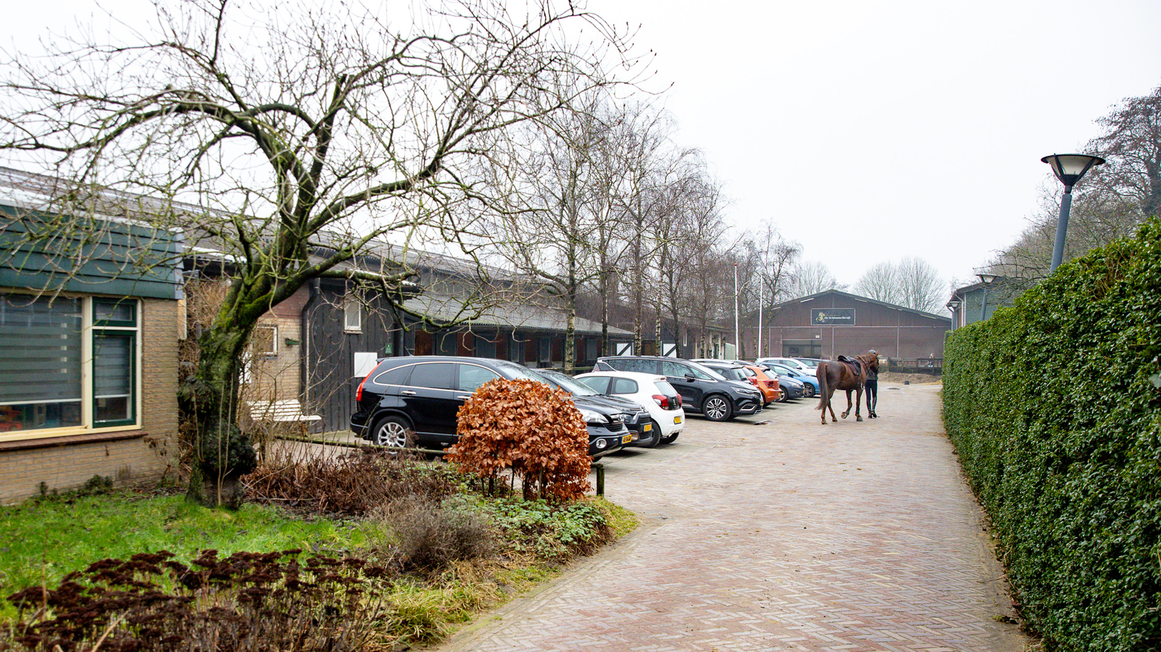 De Schimmelkroft riding school moves to Oosterweg in Heemskerk; Alderman promises traffic safety review