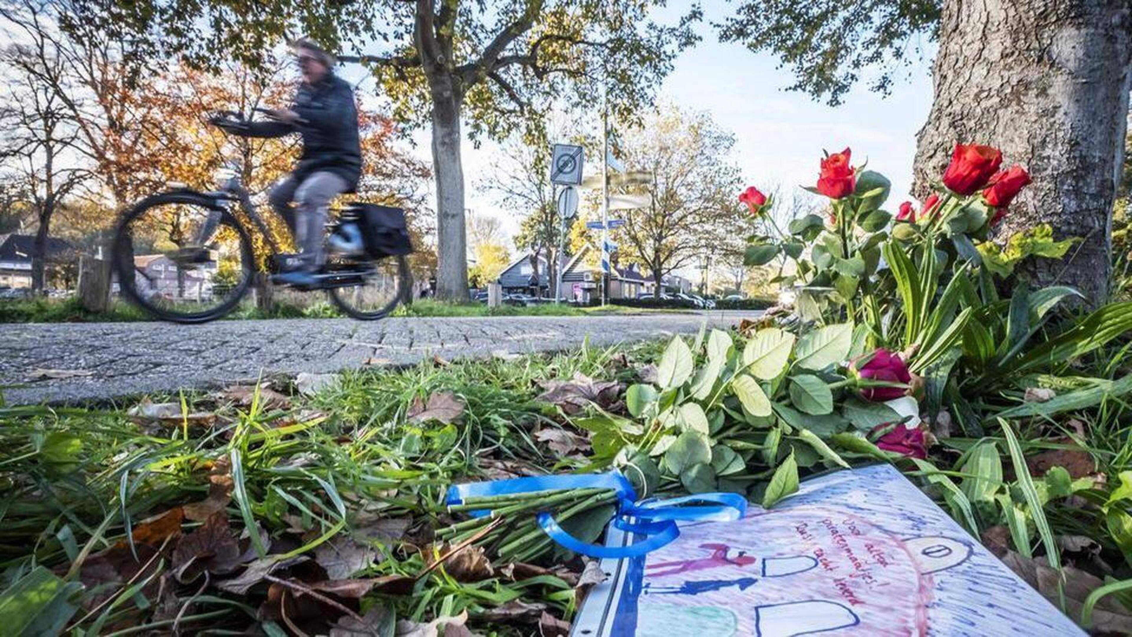Tractorrijder (81) krijgt in hoger beroep iets lagere straf na dodelijk ongeval. ’Hij had de fietser
