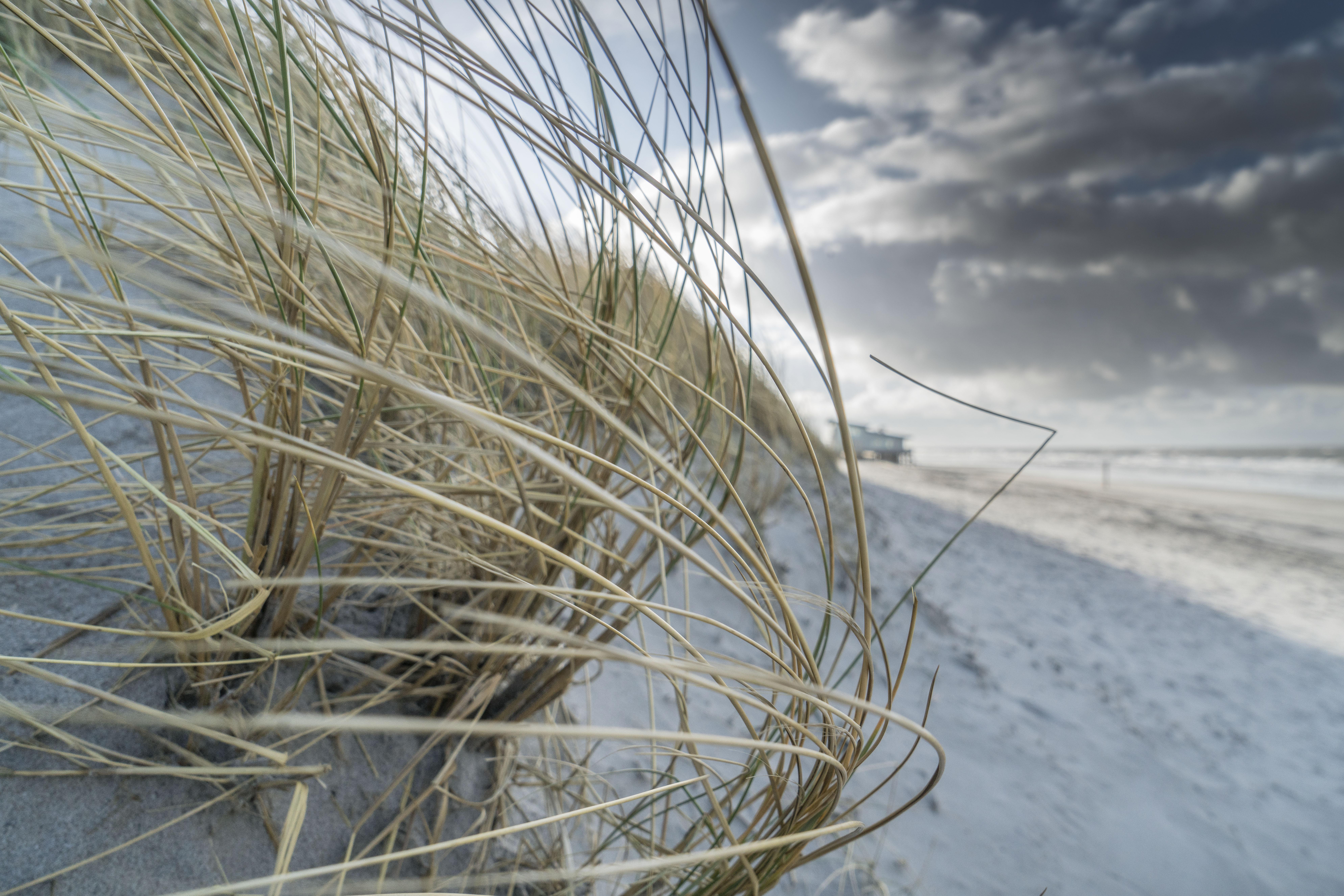 Nieuw zand voor stranden bij Callantsoog en Nieuwvliet