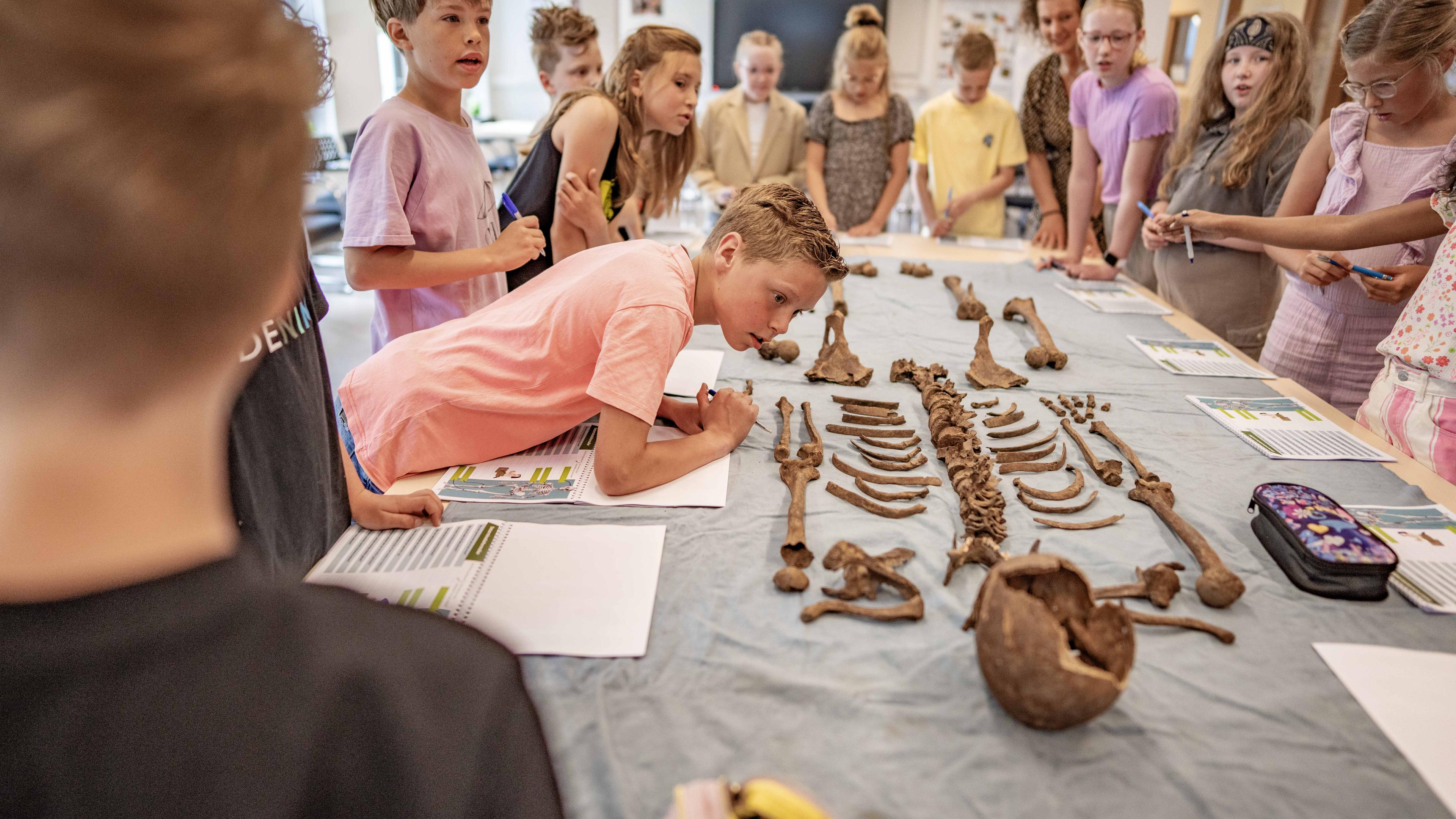 Een geraamte te gast in de klas. ’Hè, een skelet is toch wit?’