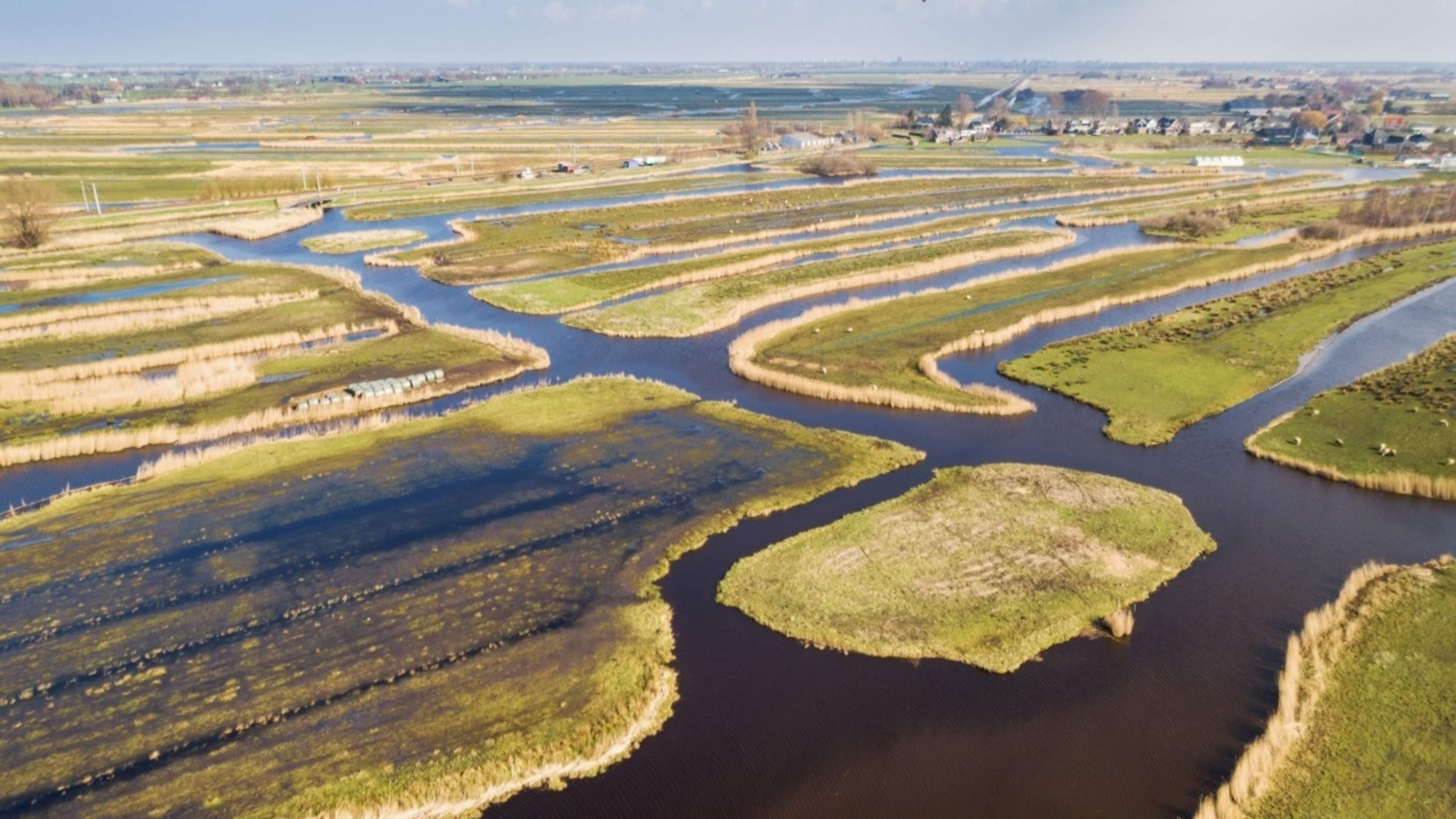 Natuurherstel Polder Westzaan en het Oostzanerveld na de zomer