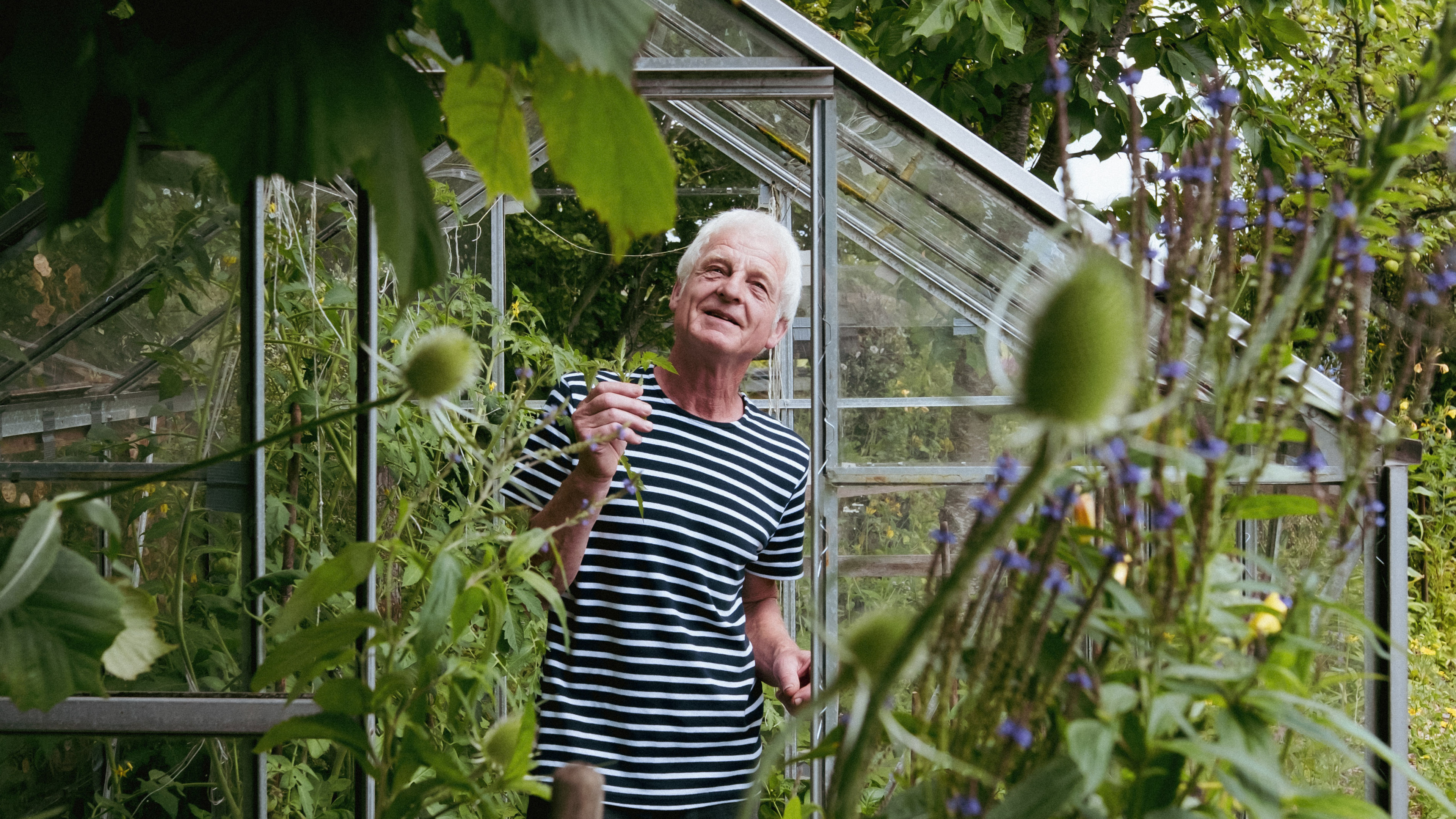 Martin (70) heeft de groenste tuin van Zaanstad: ’Interesse in de natuur was er altijd al, maar pas 
