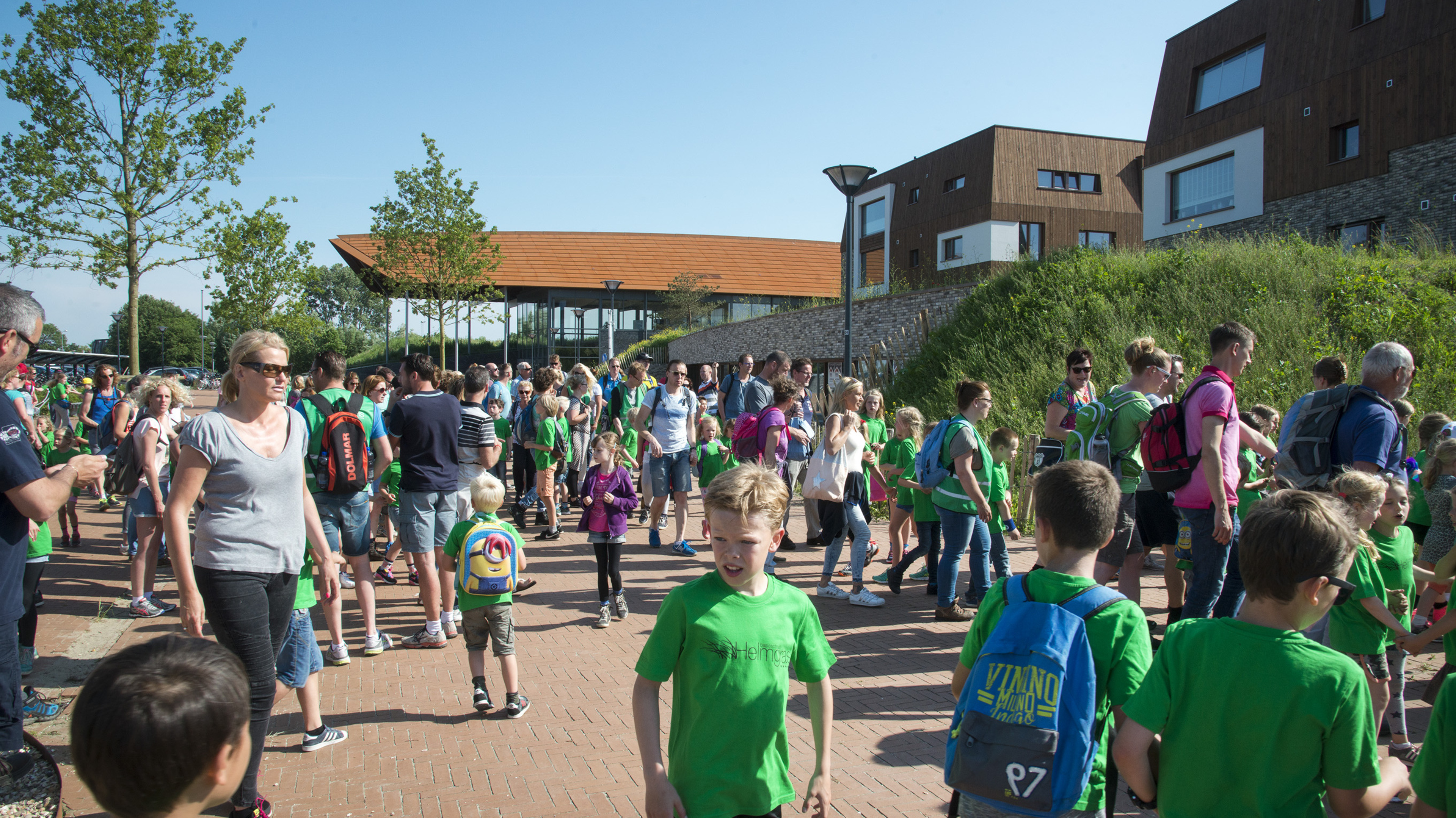Castricum four-day evening walk at risk due to volunteer shortage: ‘This iconic event must not be lost’