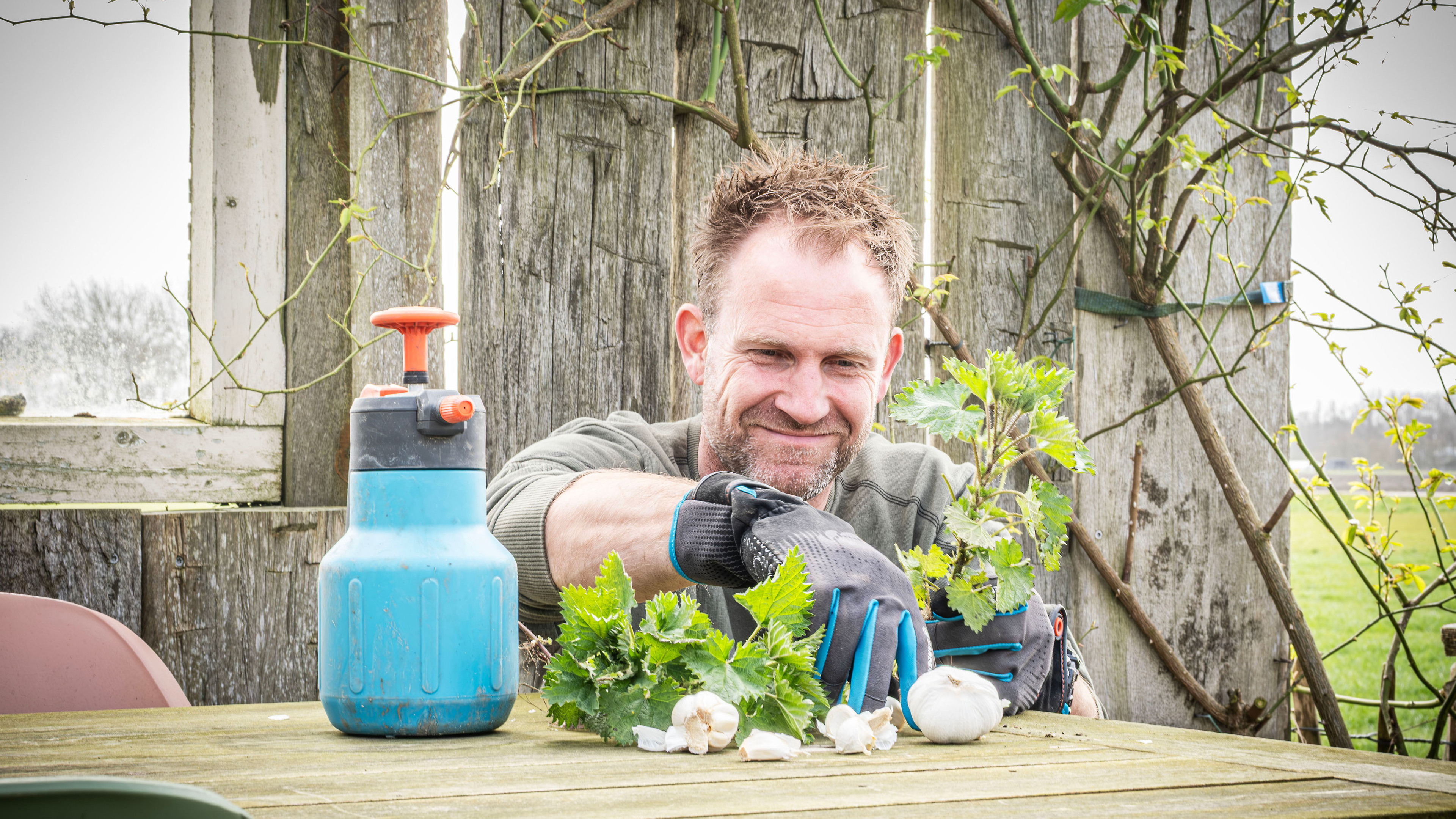 Farmer Tom: ‘Throwing away oleanders full of aphids? That’s quite drastic’