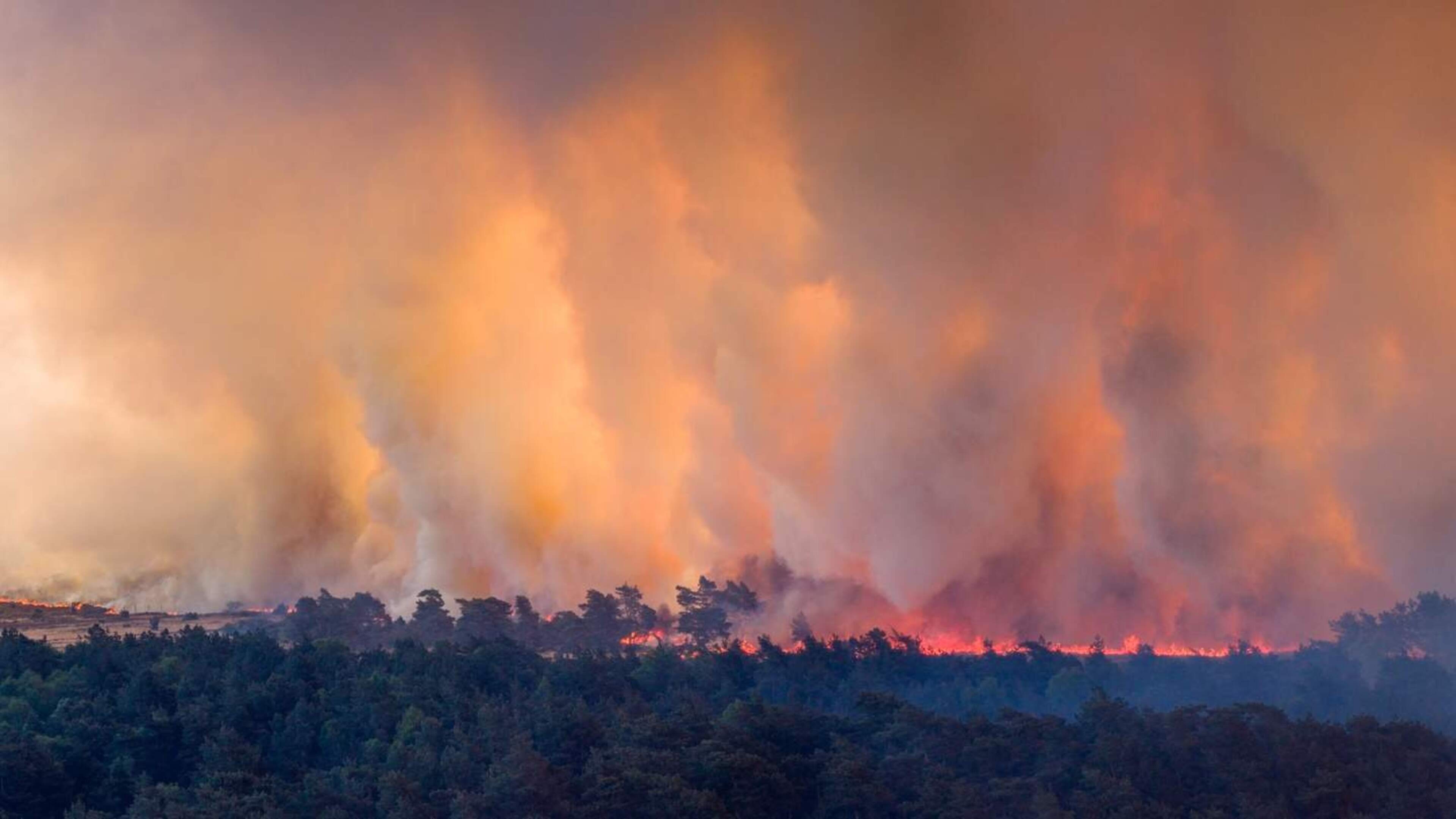 Increased risk of wildfires in seven safety regions
