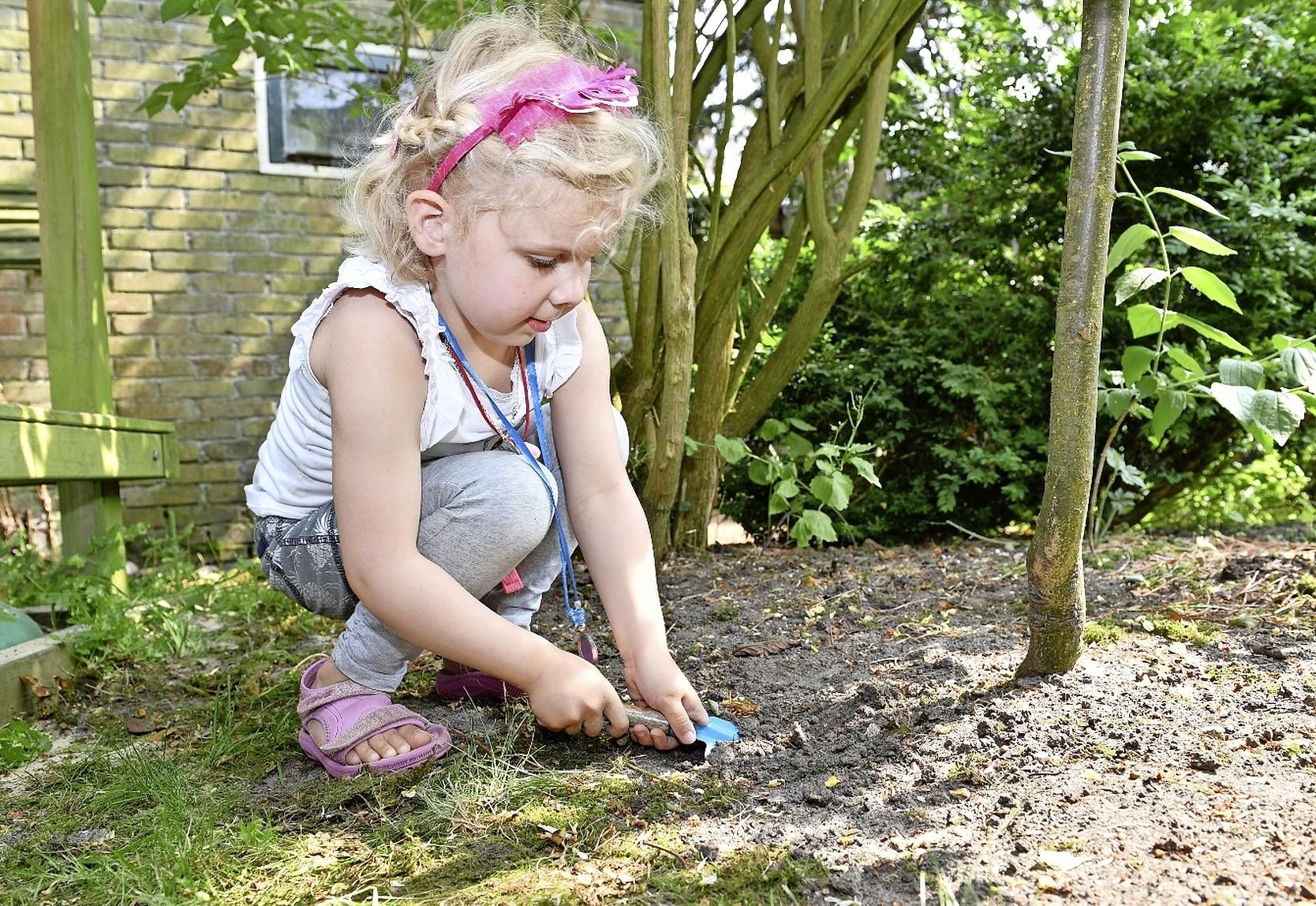 Alkmaar haalt loodhoudende grond weg uit speeltuin en uit volkstuin