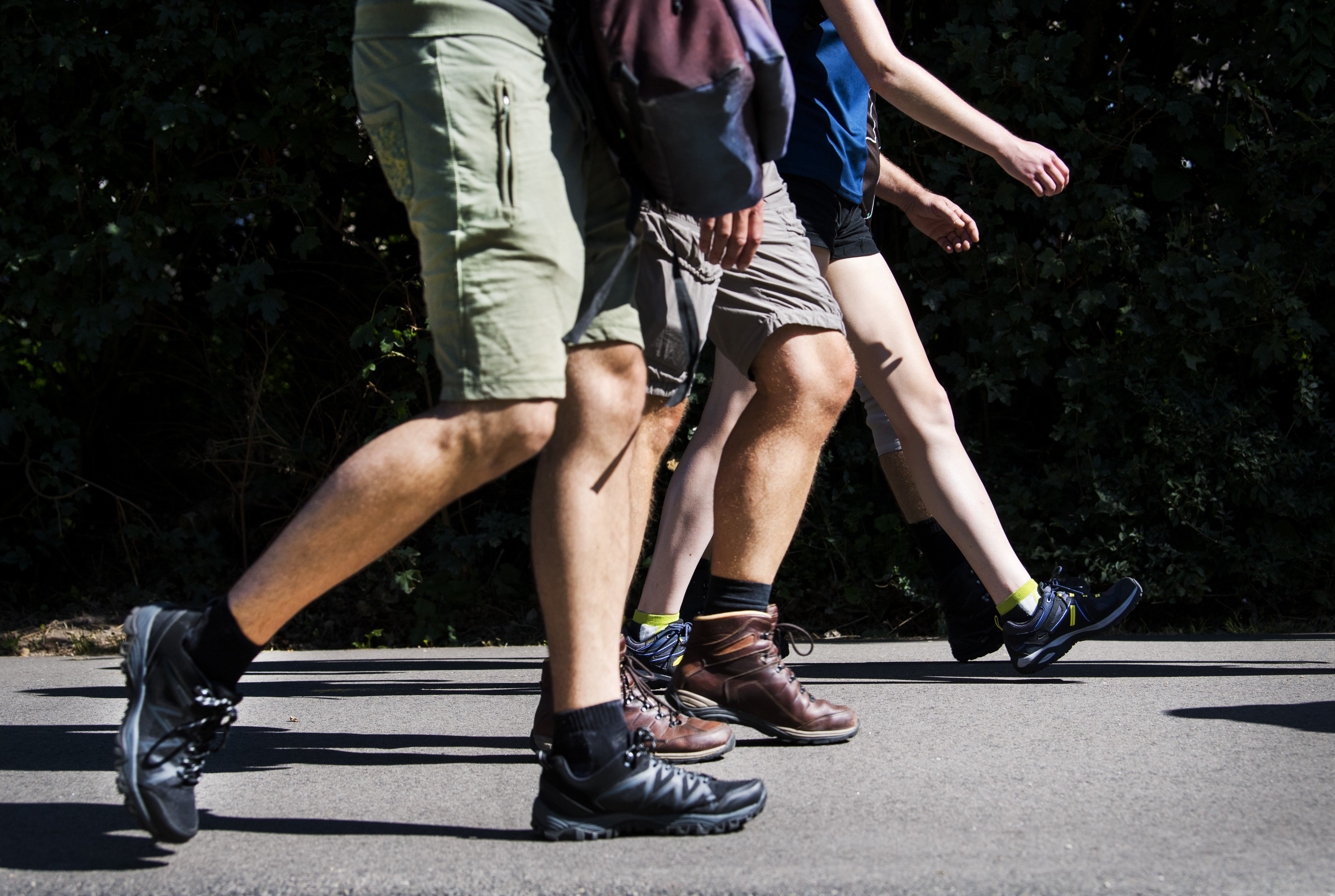 Bewoners van De Kolblei in Avenhorn trainen samen voor Wandelvierdaagse: ’Ontmoeting, ontspanning en