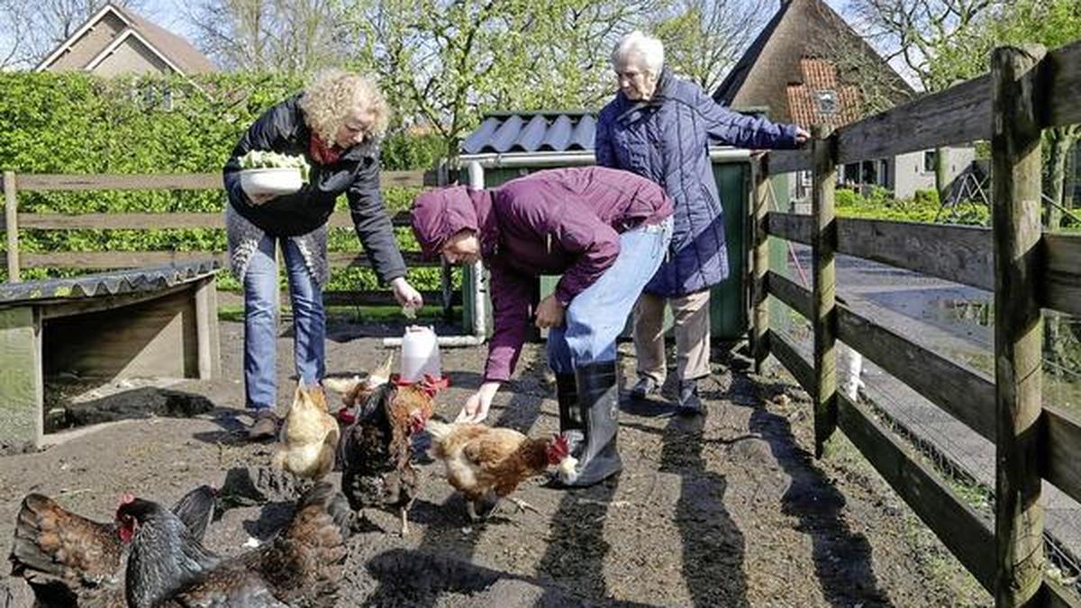 radje Vergunning voor uitbreiding zorgboerderij 't Radje is er wel maar ook weer  niet | Noordhollands Dagblad