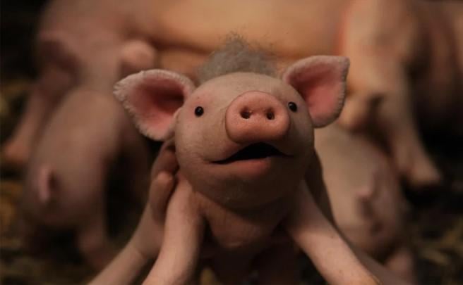 Film ’Knor’ van de Wieringse Marleen wint als eerste animatiefilm