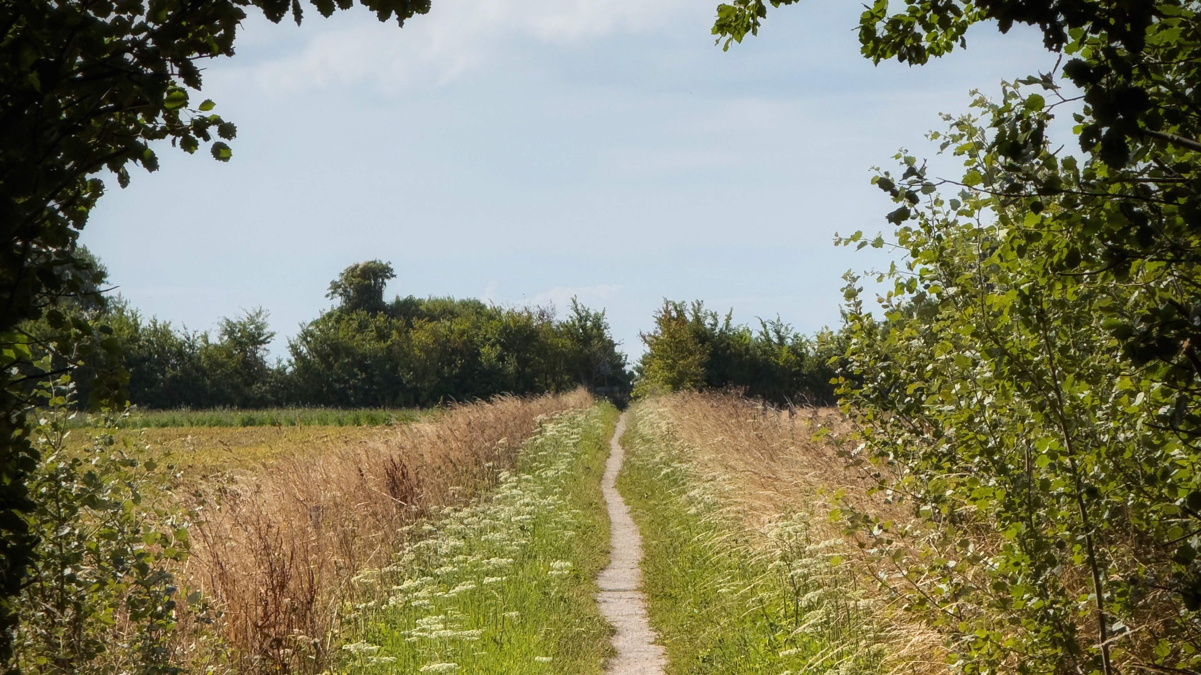 Westerland: een wandeling door het glooiende landschap van Wieringen. Het voelt hier alsof je zo een
