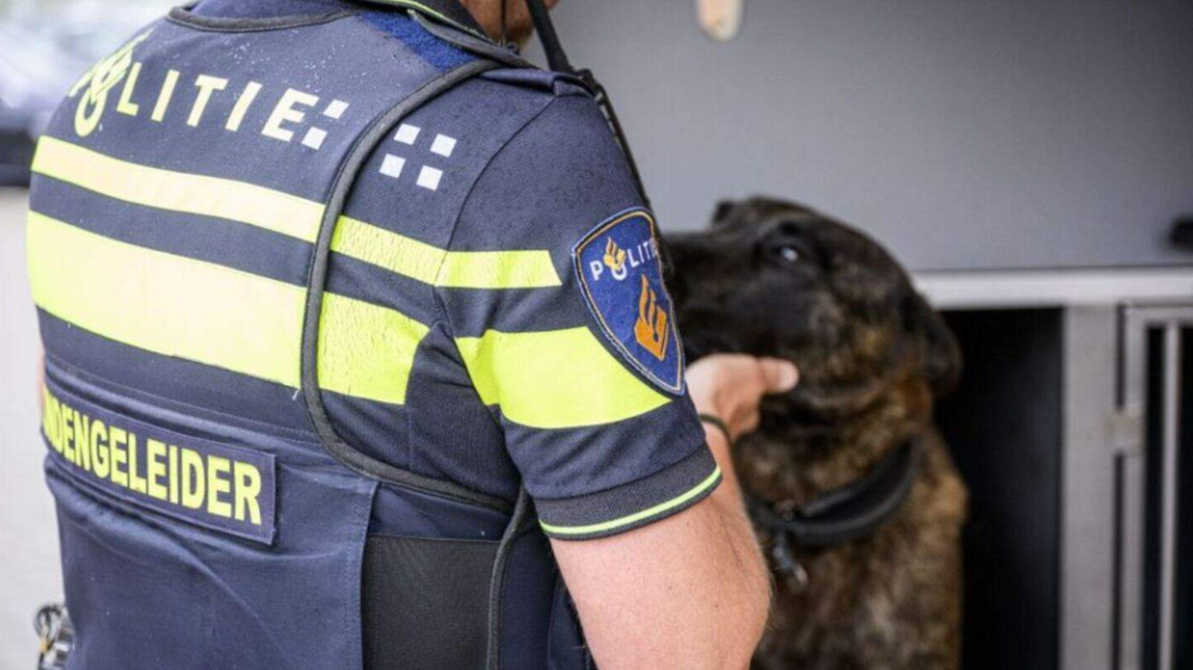 Dog handler again at center of outcry over violent police action: what is going on?