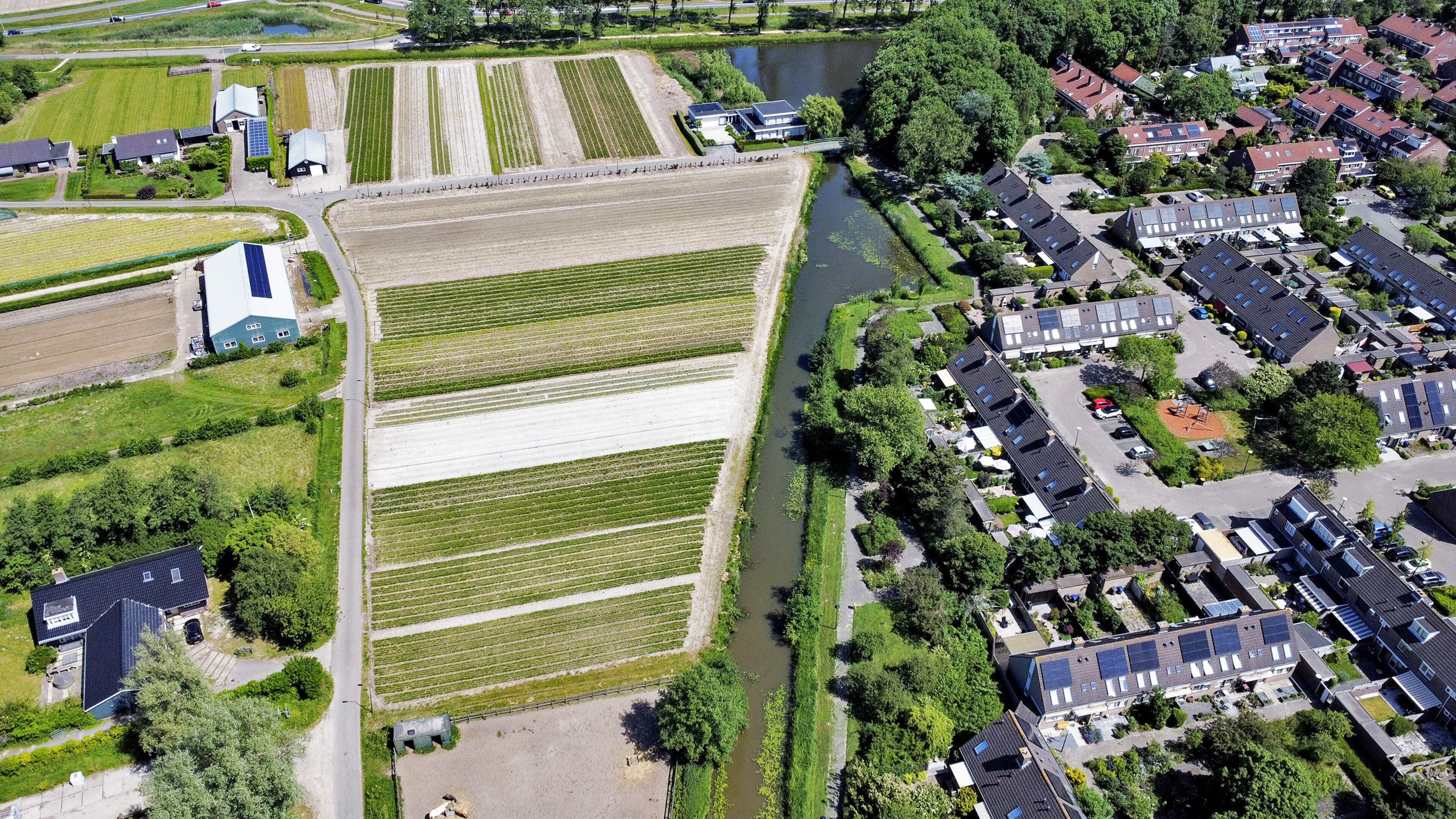 COA seeks emergency asylum shelter in Beverwijk gardening area, municipality delays decision