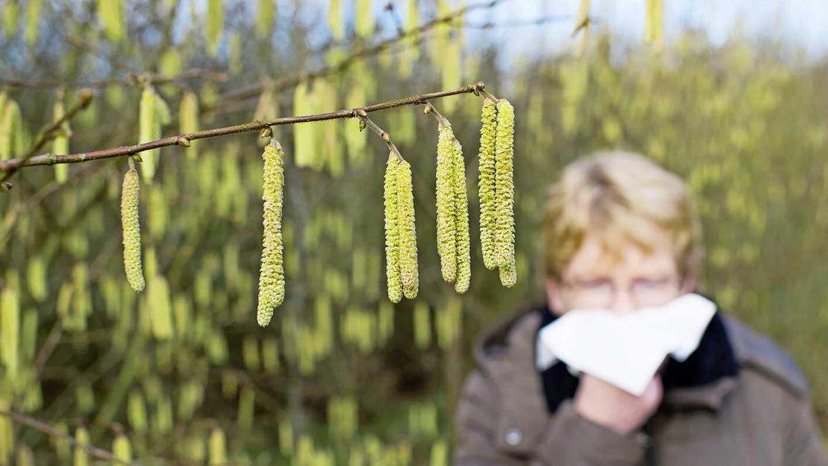 Pollen Season Peaks: Key Hay Fever Drugs Unavailable—What You Need to Know