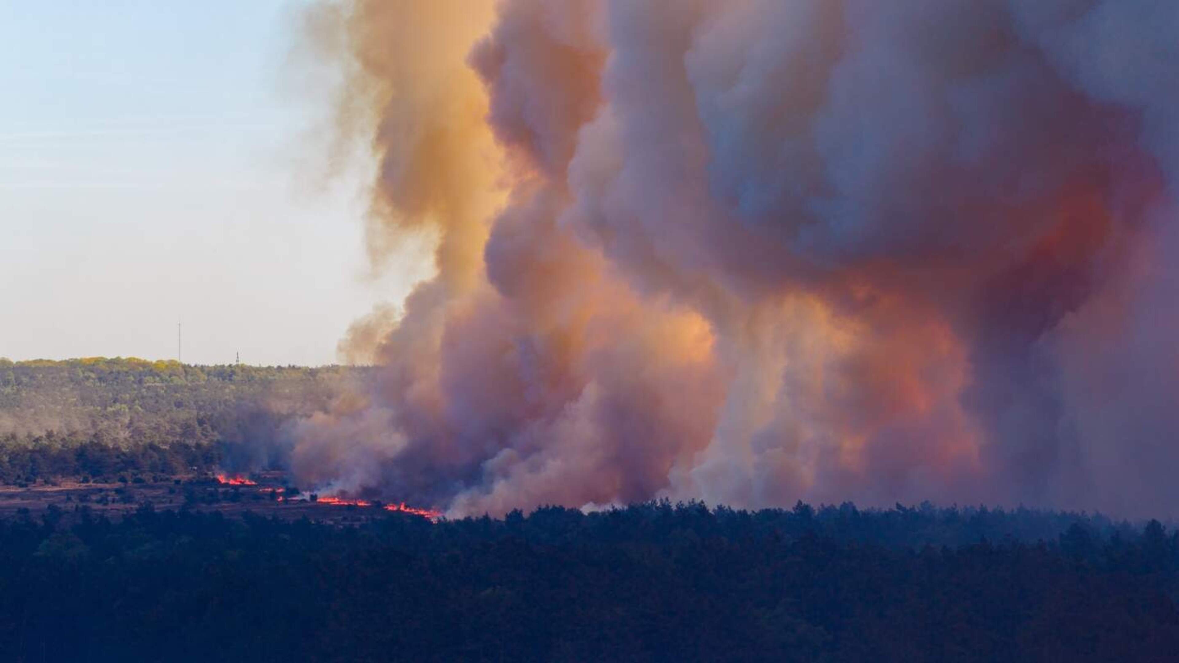Increased risk of wildfires in almost all of the Netherlands