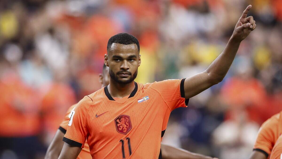 Cody Gakpo blijft bij Nederlands elftal op WK ondanks verlies van ongeboren  zoon | Noordhollands Dagblad