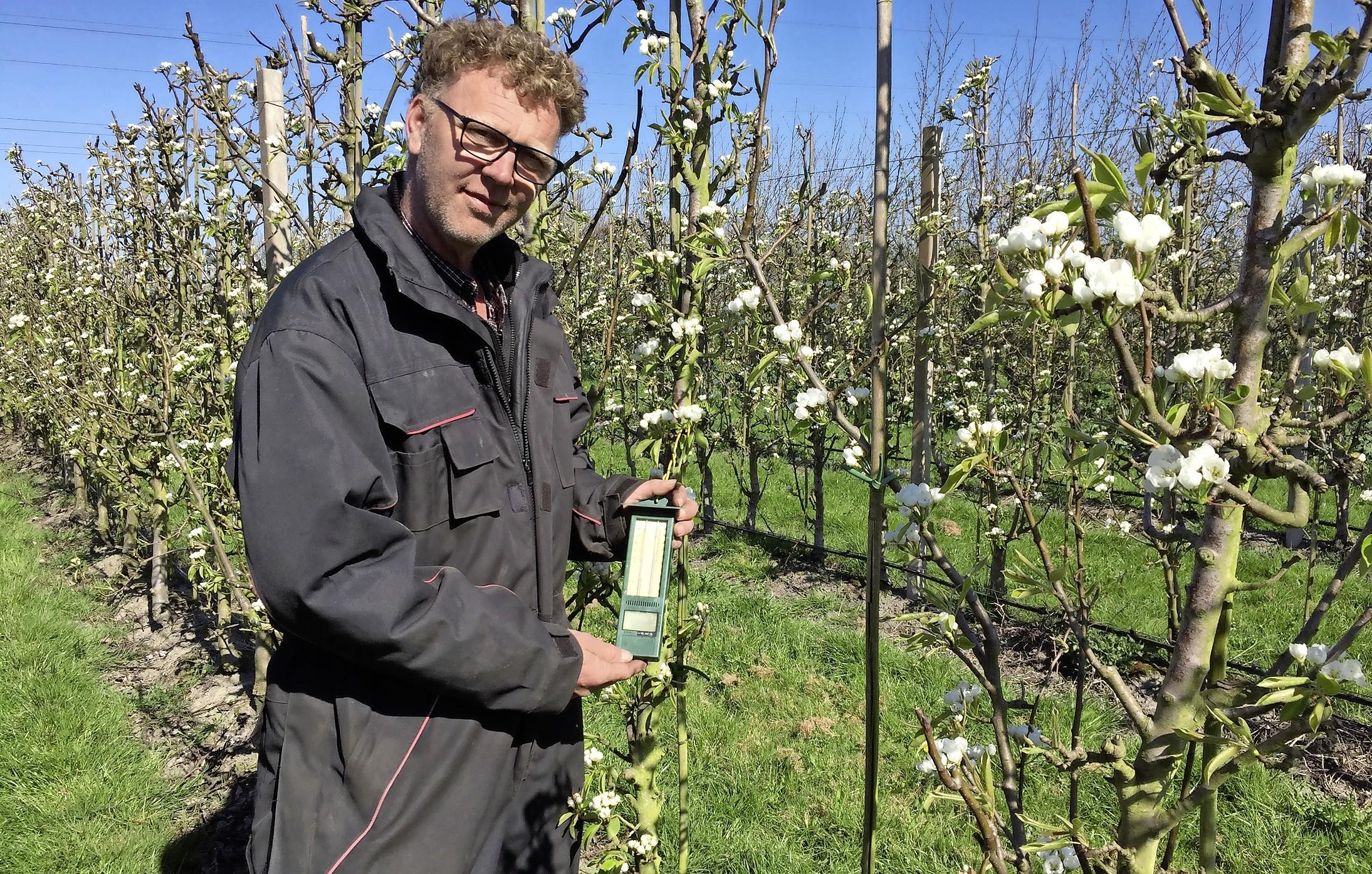Fruitteler vreest vorst in bloesem