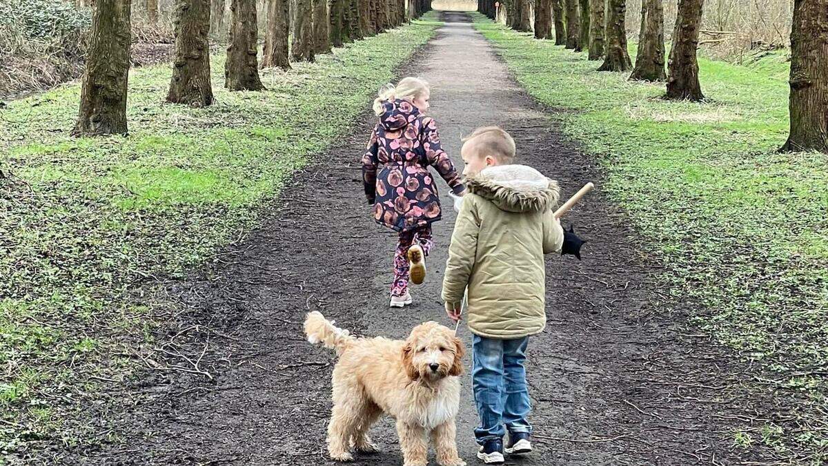 Joyce (35) kreeg 2 kinderen van massadonor Jonathan Meijer: ’Ze hebben