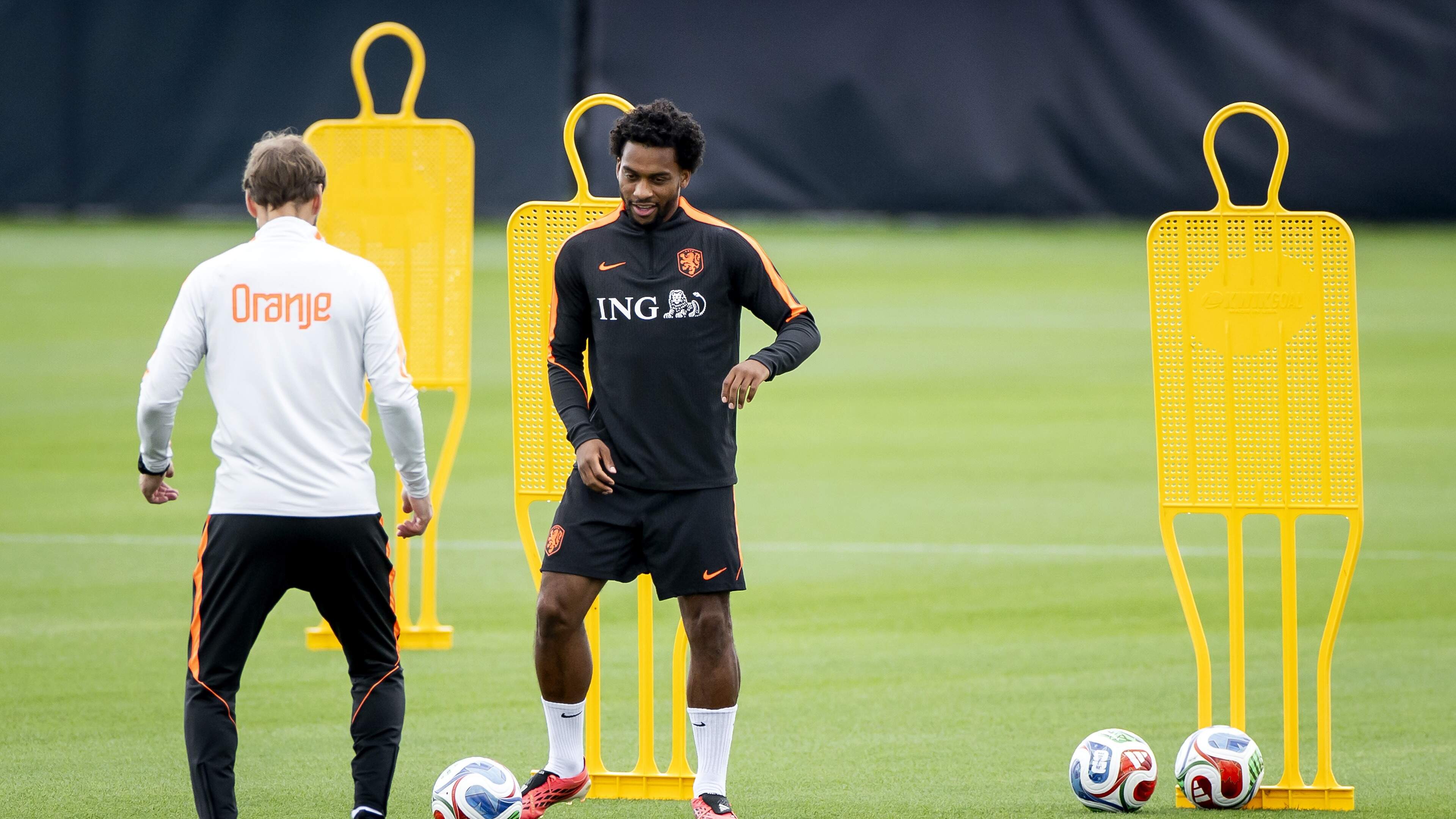 Timber resumes training with Oranje after concussion