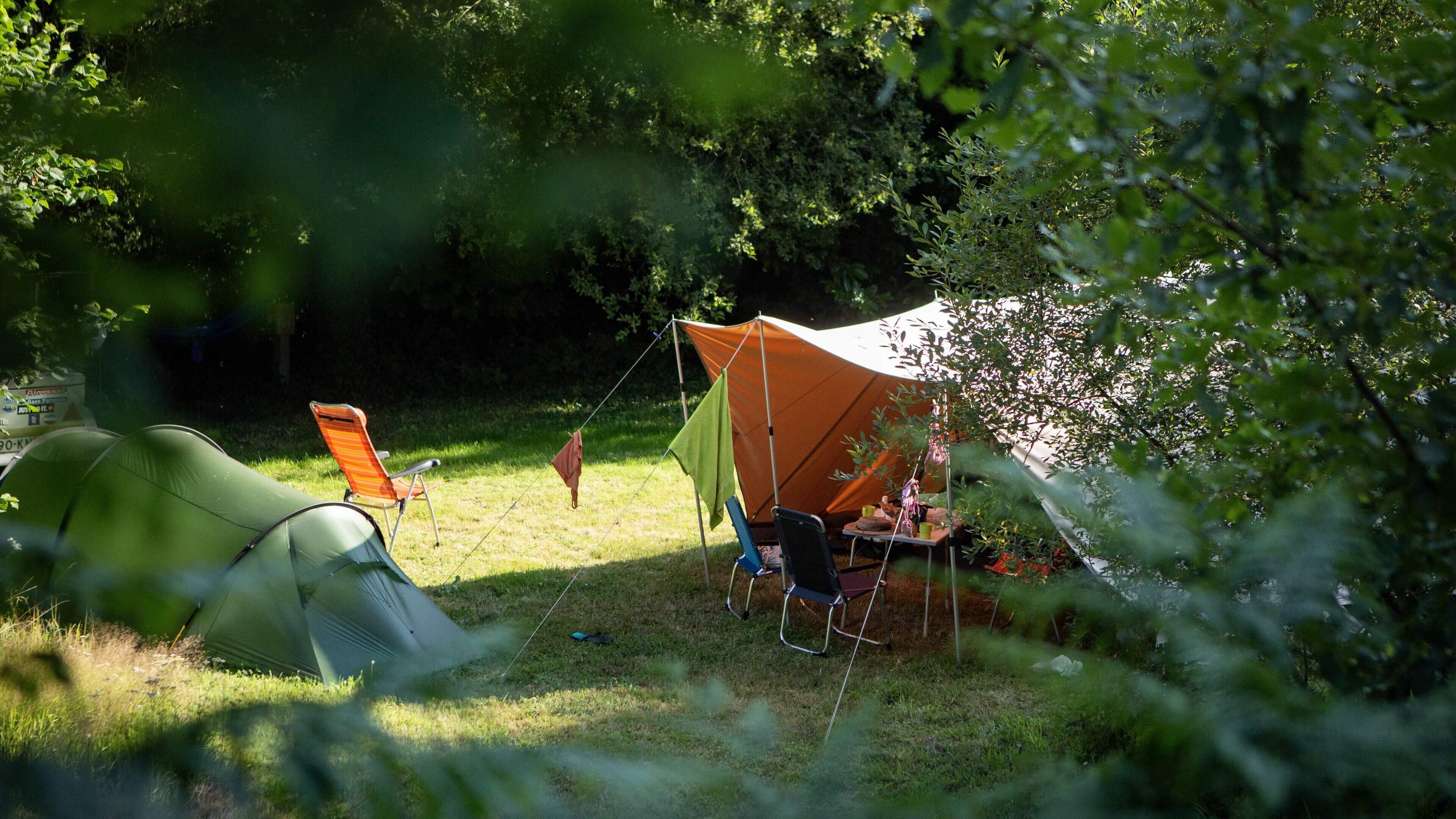 Campsites thrive due to good weather and Middle East war, but holiday home rentals slump