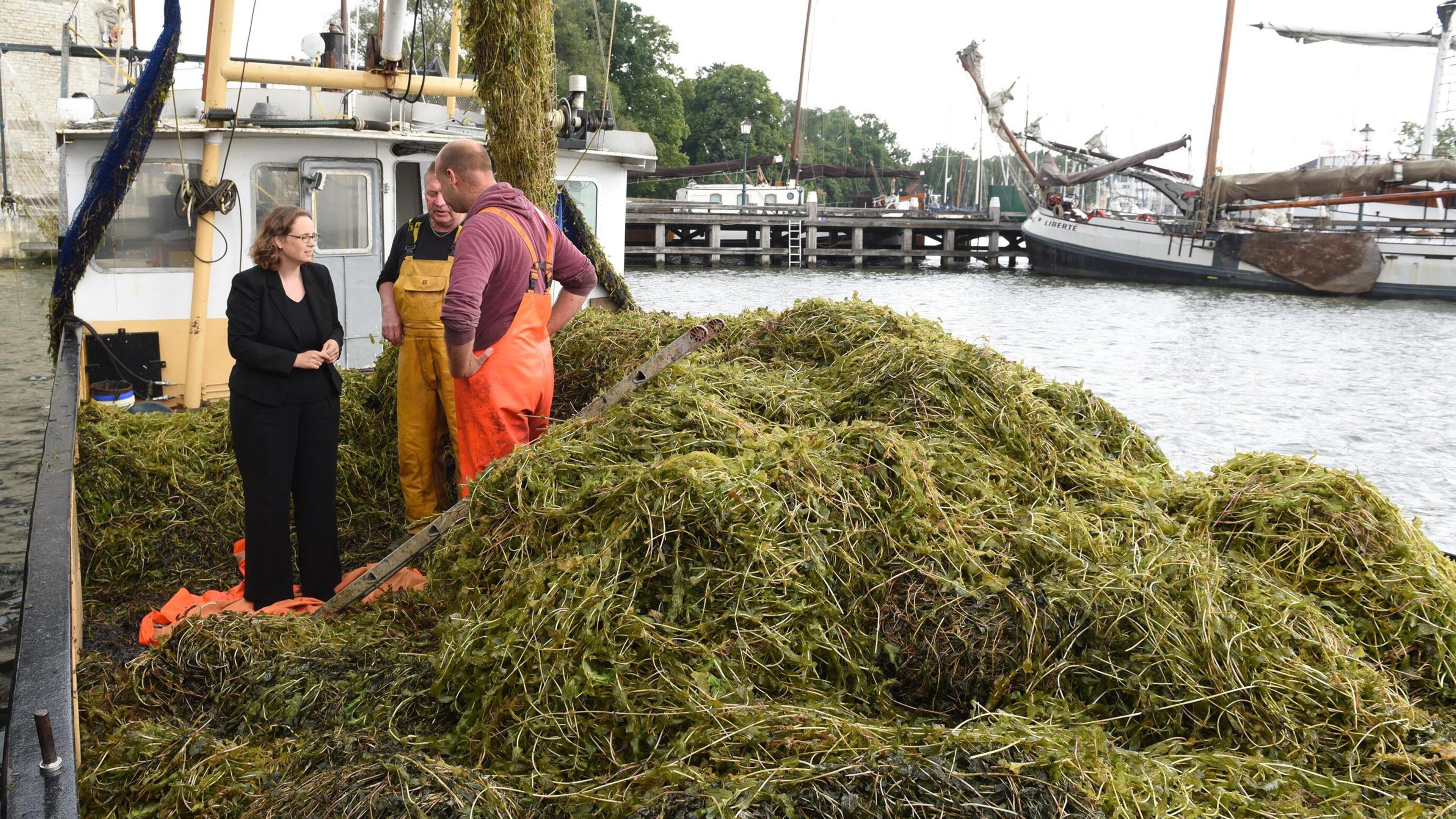 40 kuub fonteinkruid krijgt enkeltje Marker Wadden